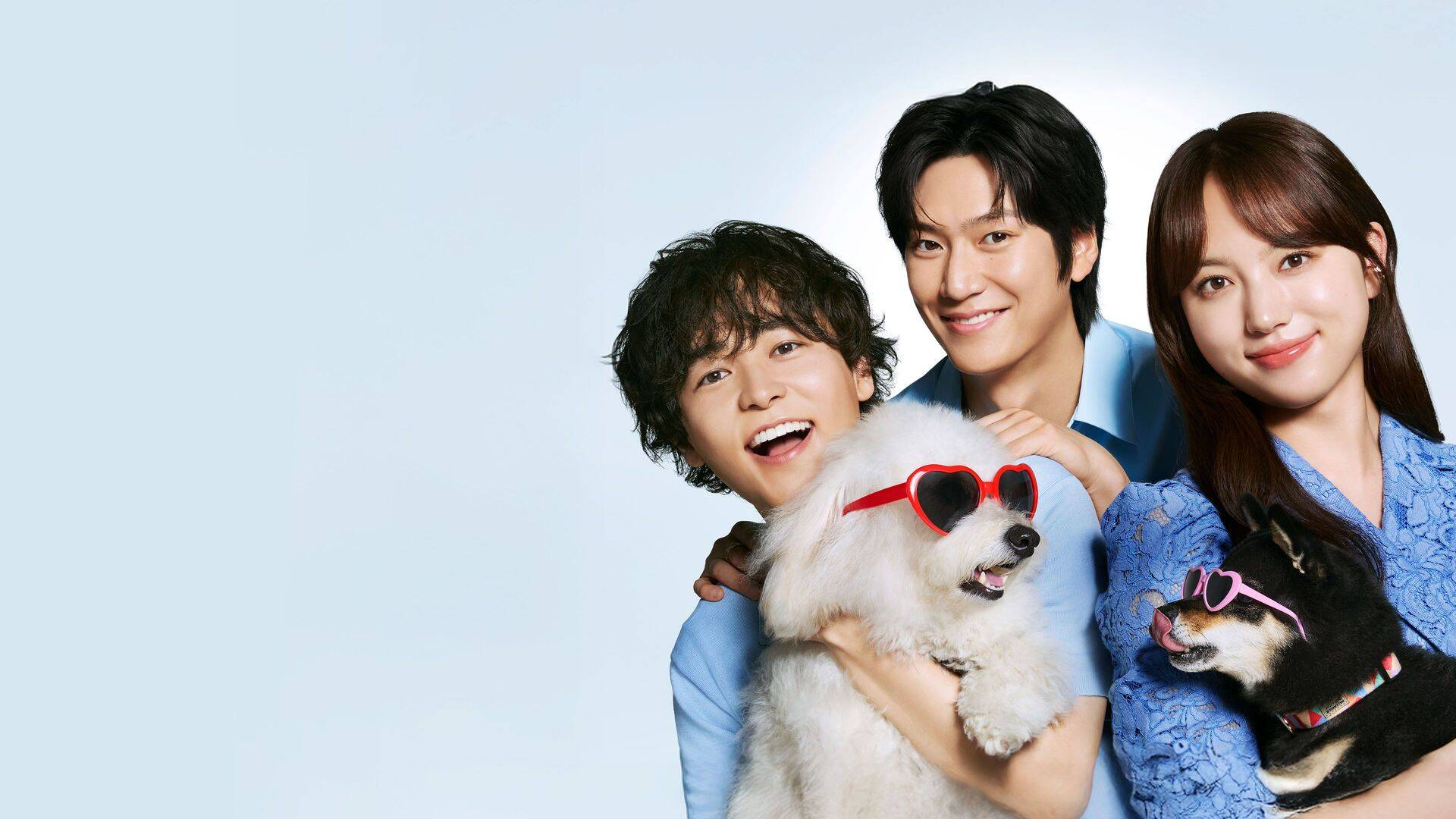Amores perros