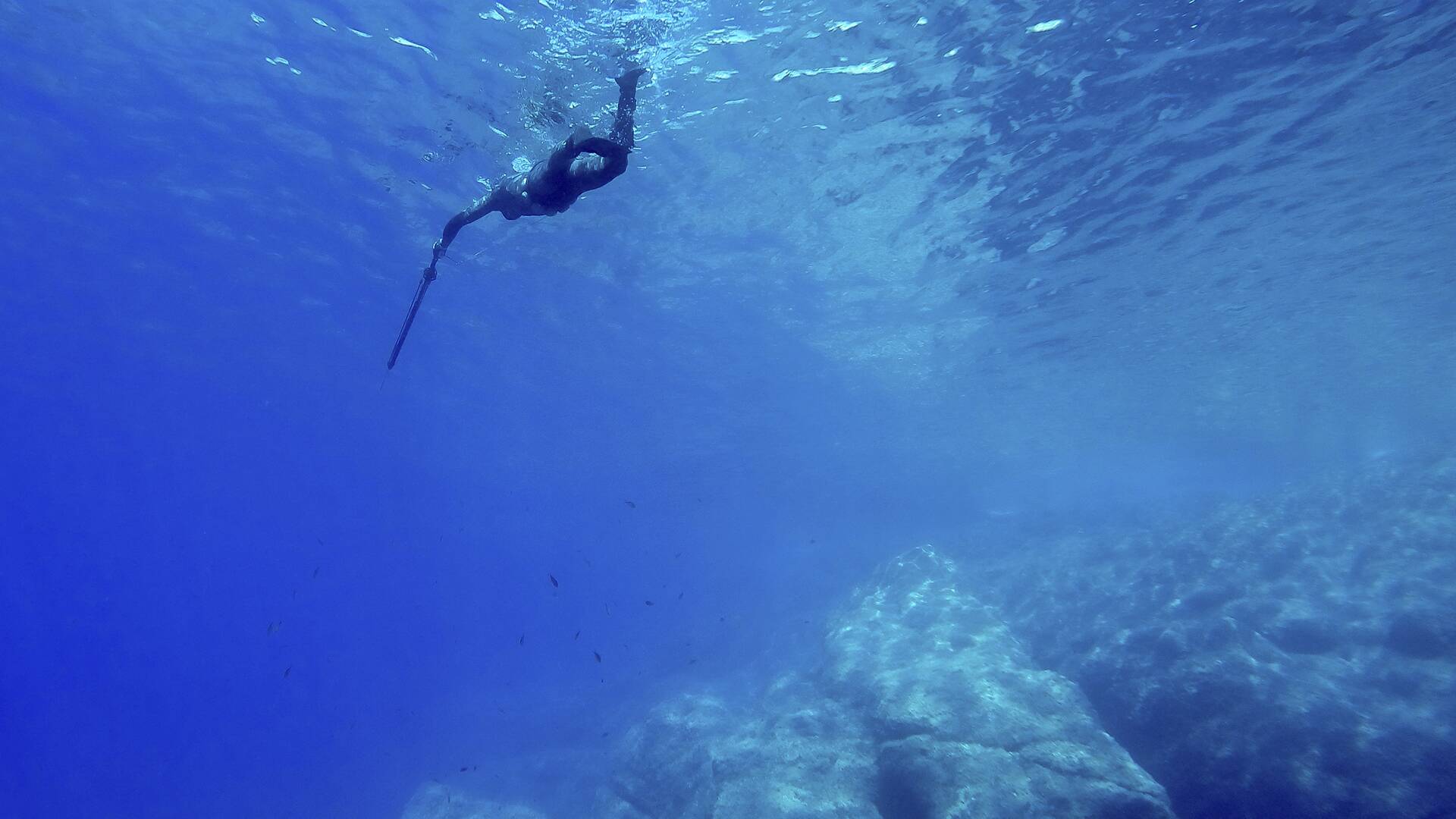 Panamá, aguas para el pescasub