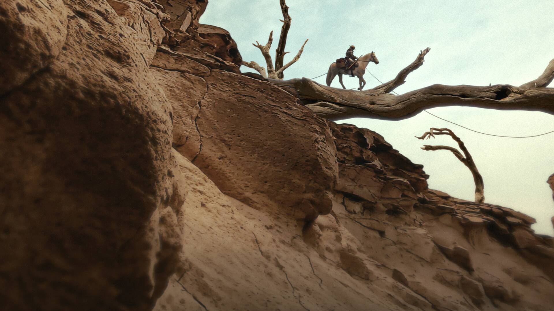 Don Quijote contra las fuerzas del mal