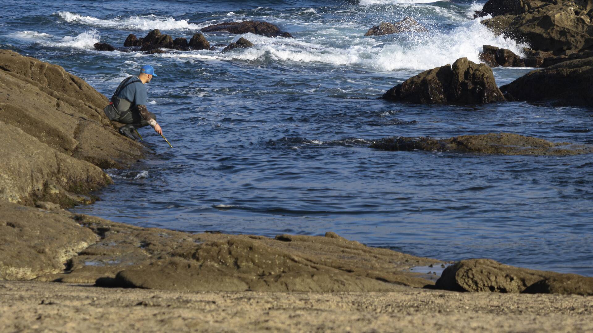 Pesca en peligro de extinción: barbada con vara