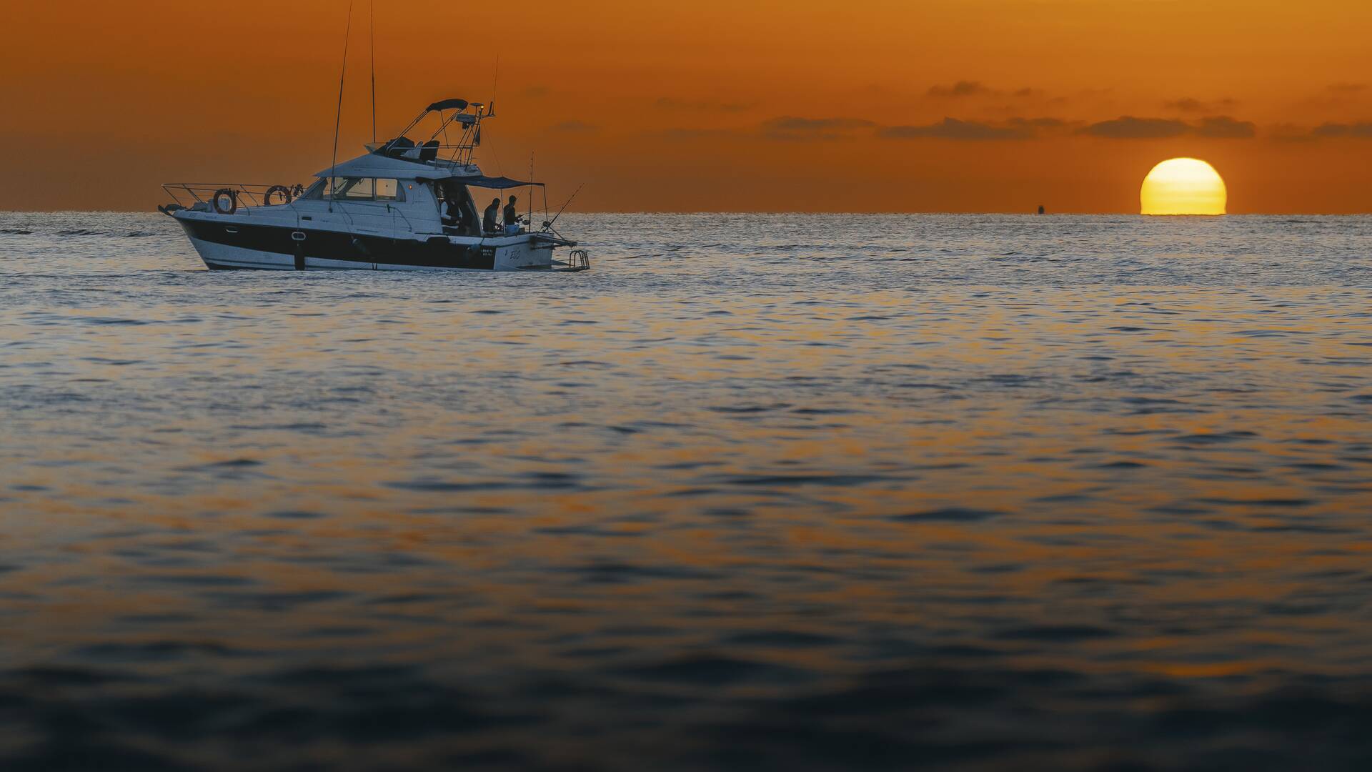 El atún de cabo a... (T1): El sueño del atún