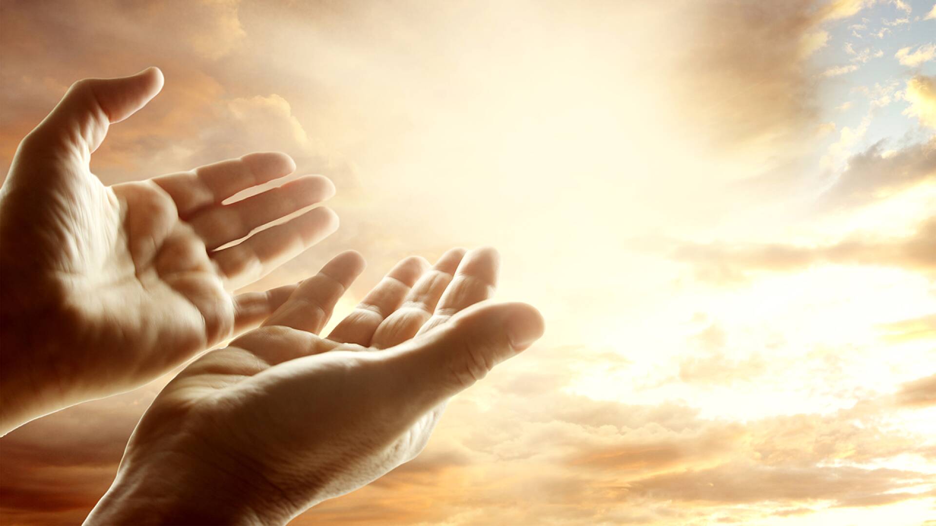 Benedicto XVI, el Papa Emérito