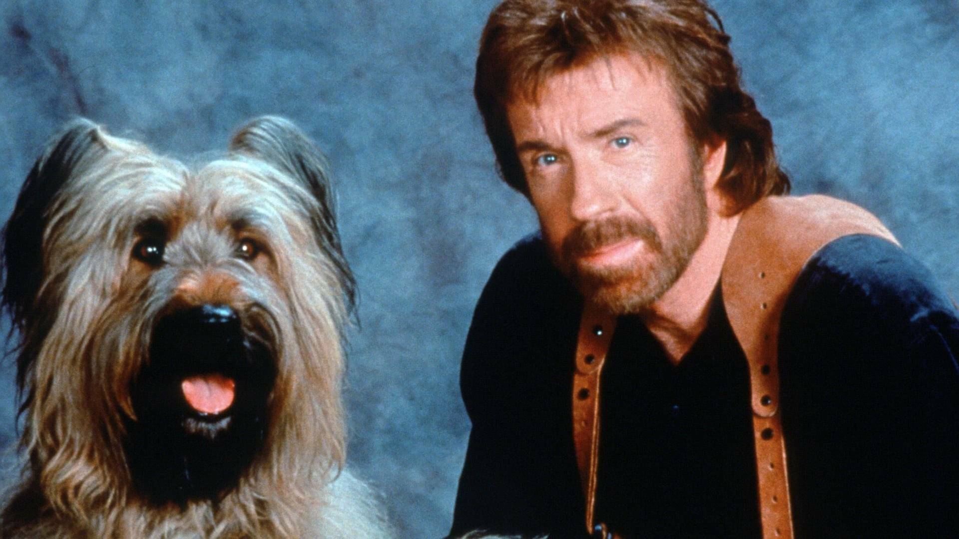 Top Dog: El perro sargento