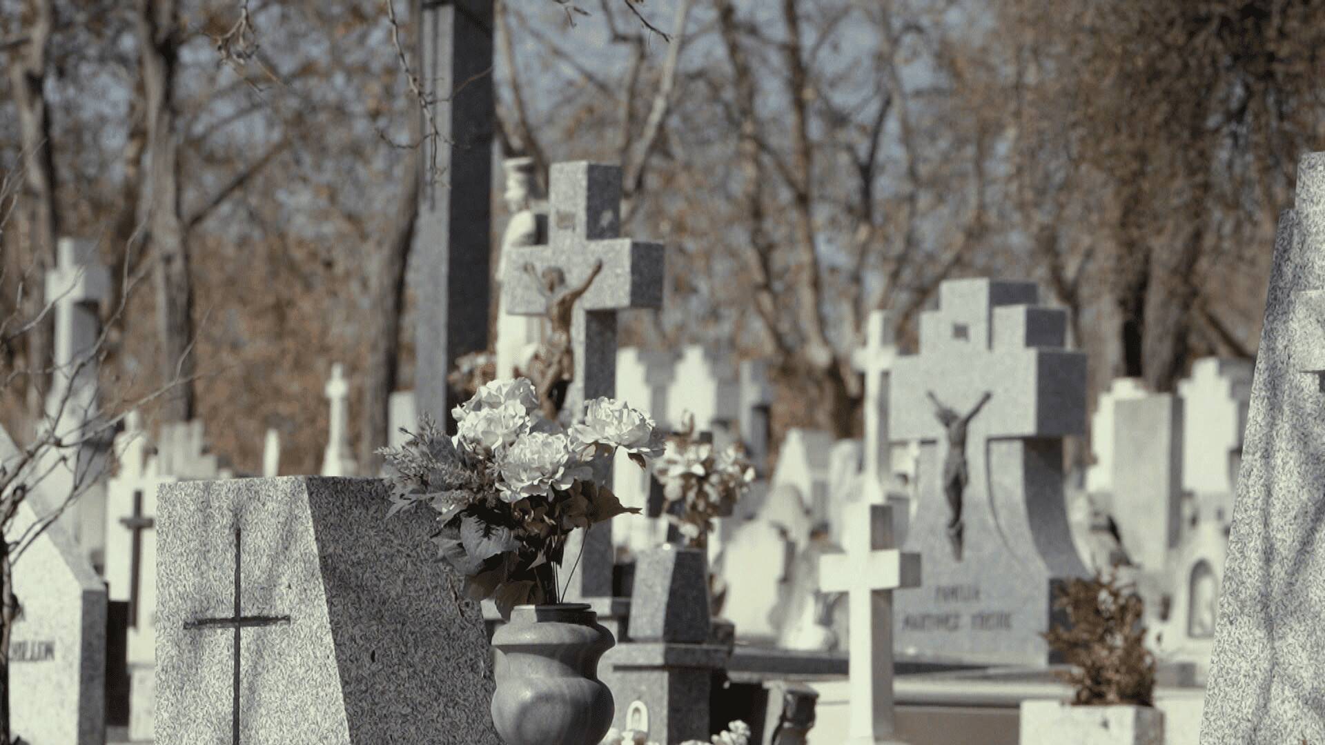 El escarabajo verde: Memento Mori