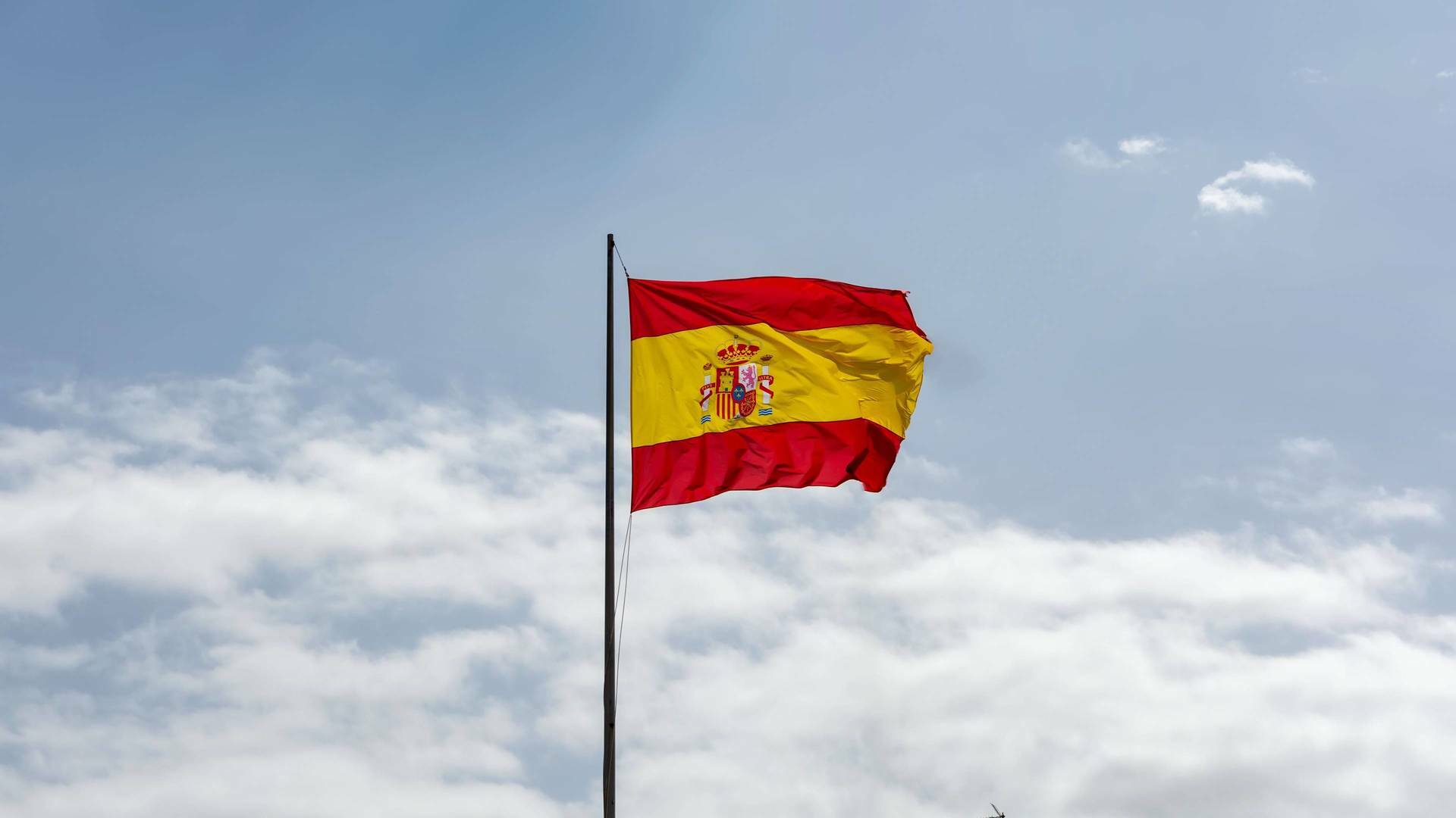 Especiales informativos: Día de la Constitución