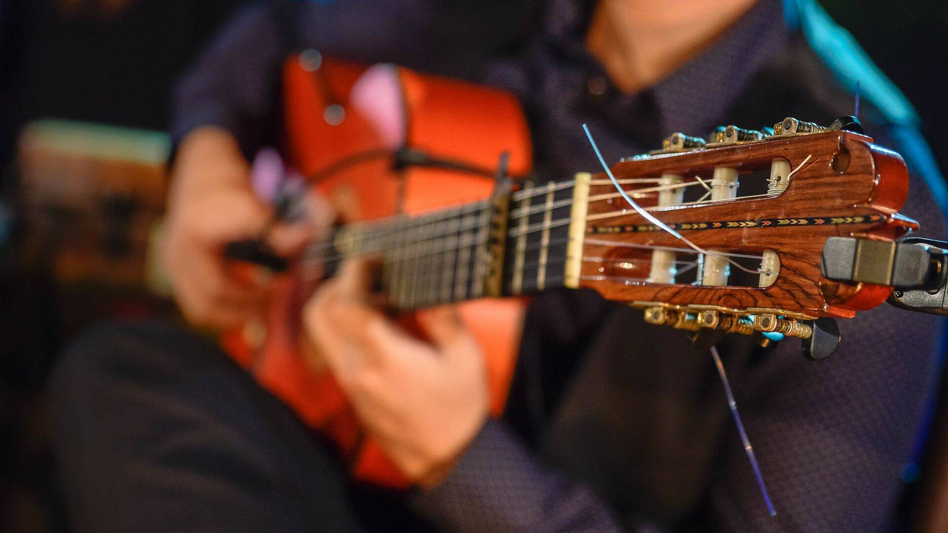 Flamenco Andalucía