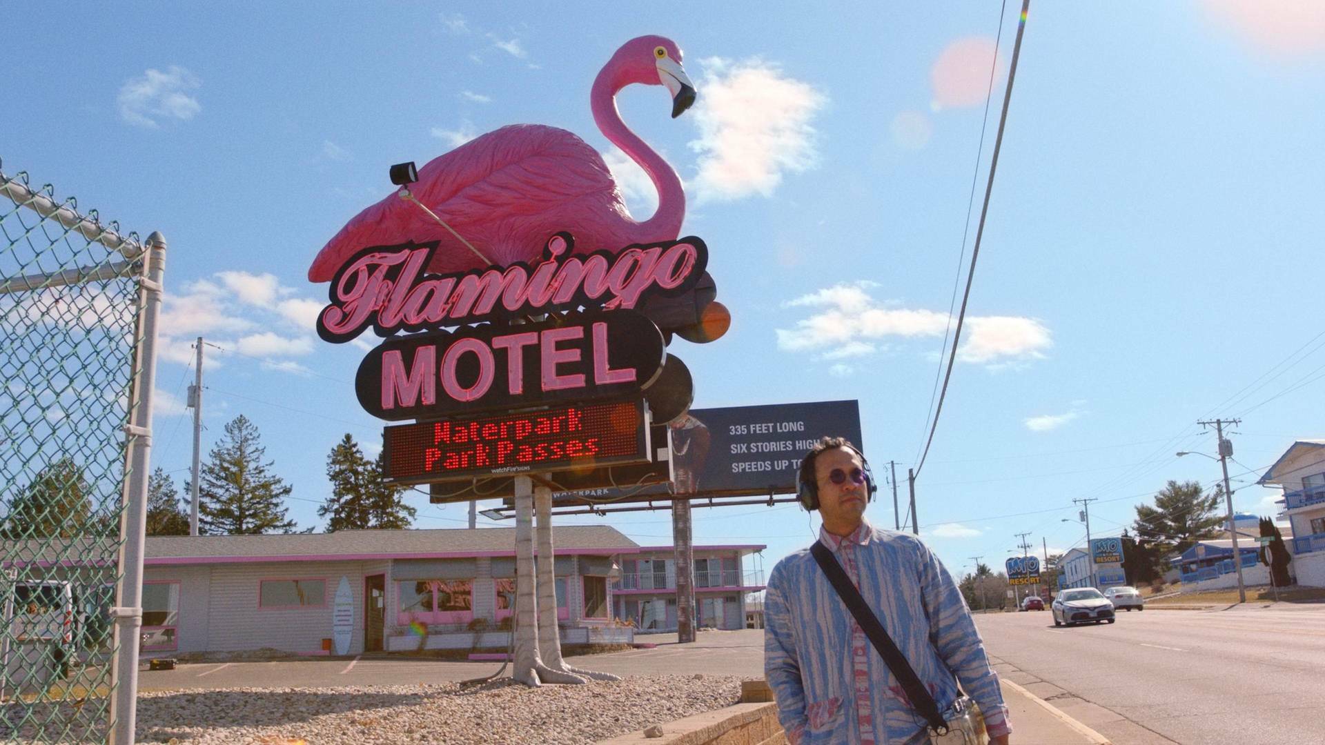 The mistery of the pink flamingo
