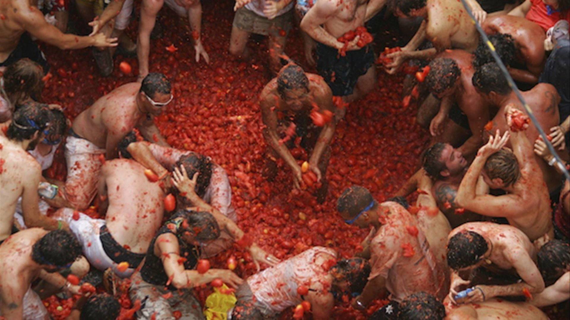 Tomatina de Bunyol 2024