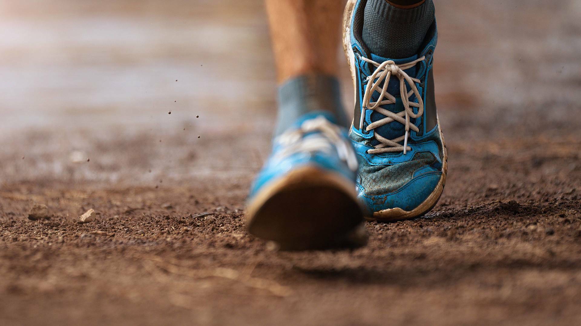 Gran Trail... (2025): Salida