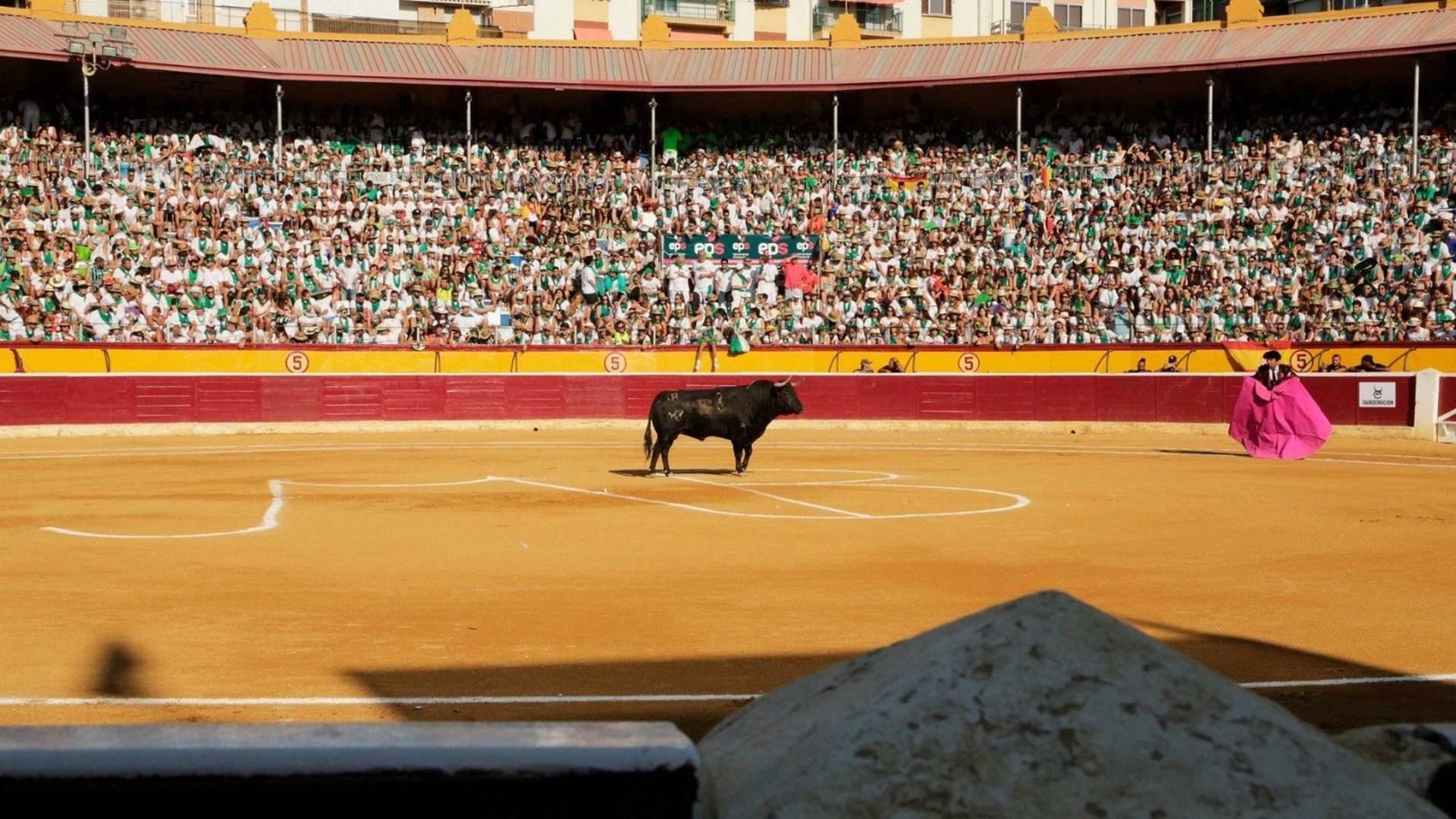 Feria Taurina de la Albahaca, Huesca 2025