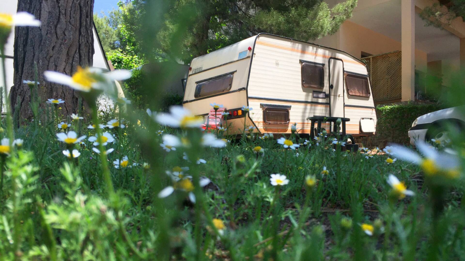 Nos vamos de camping