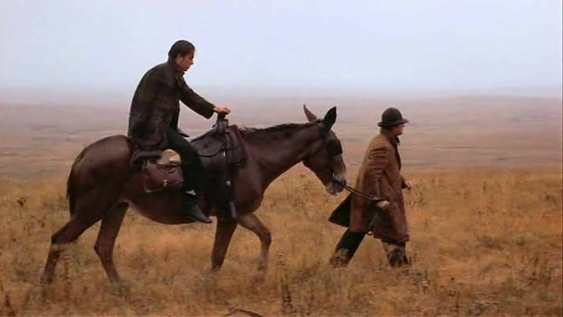 Pistoleros en el infierno