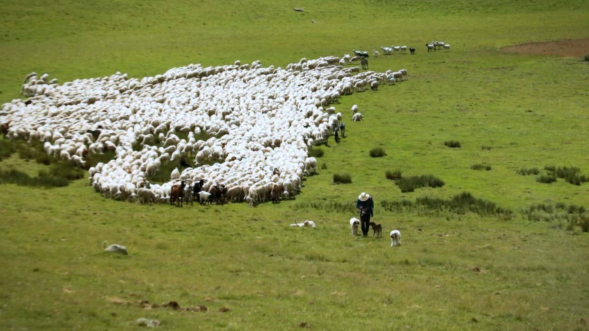 El campo es nuestro: Especial Orgullo rural