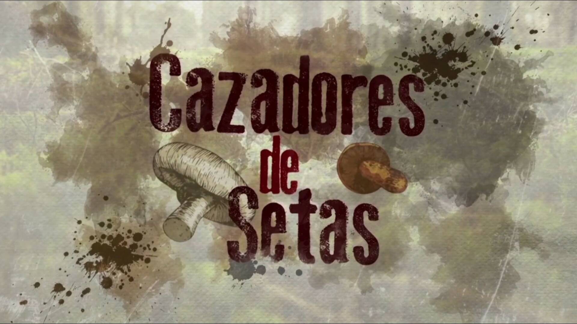 Cazadores de setas (T1): San Martín de la Virgen del Moncayo