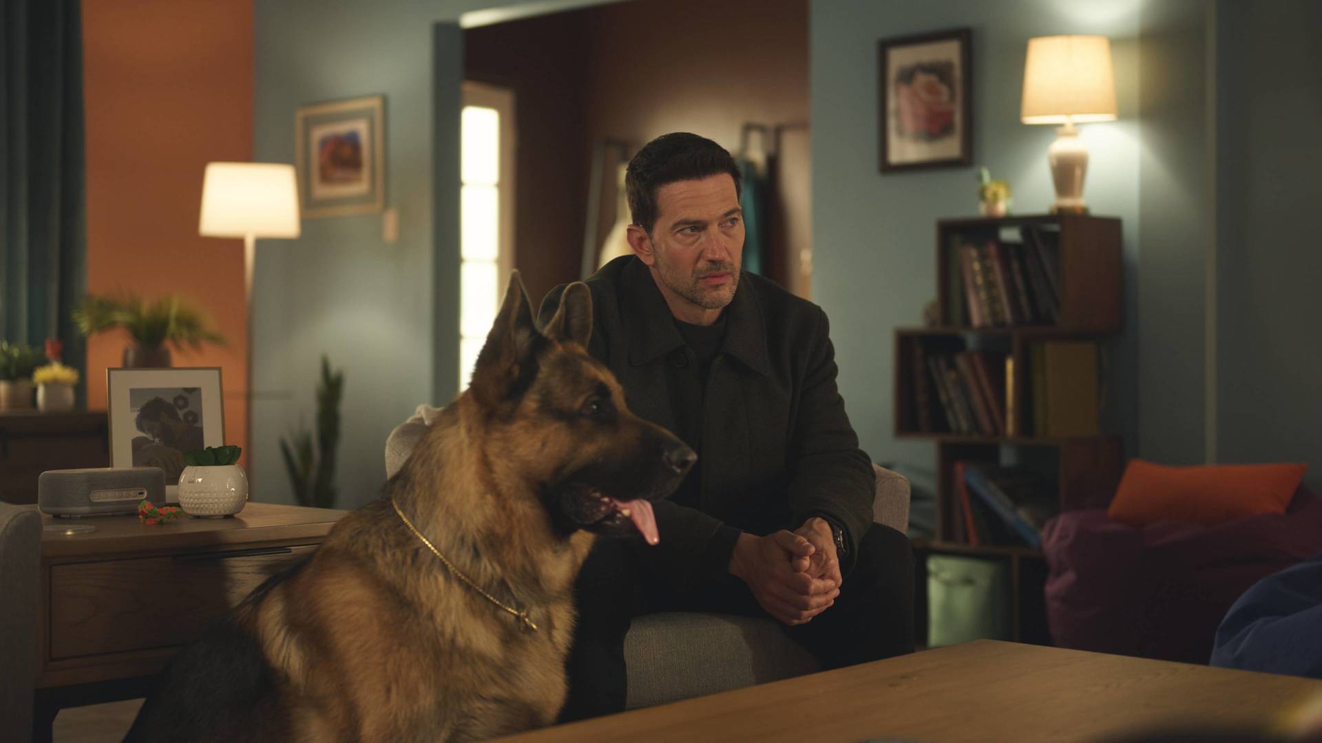 Hudson y Rex (T8): Ep.11 Prueba de fuego