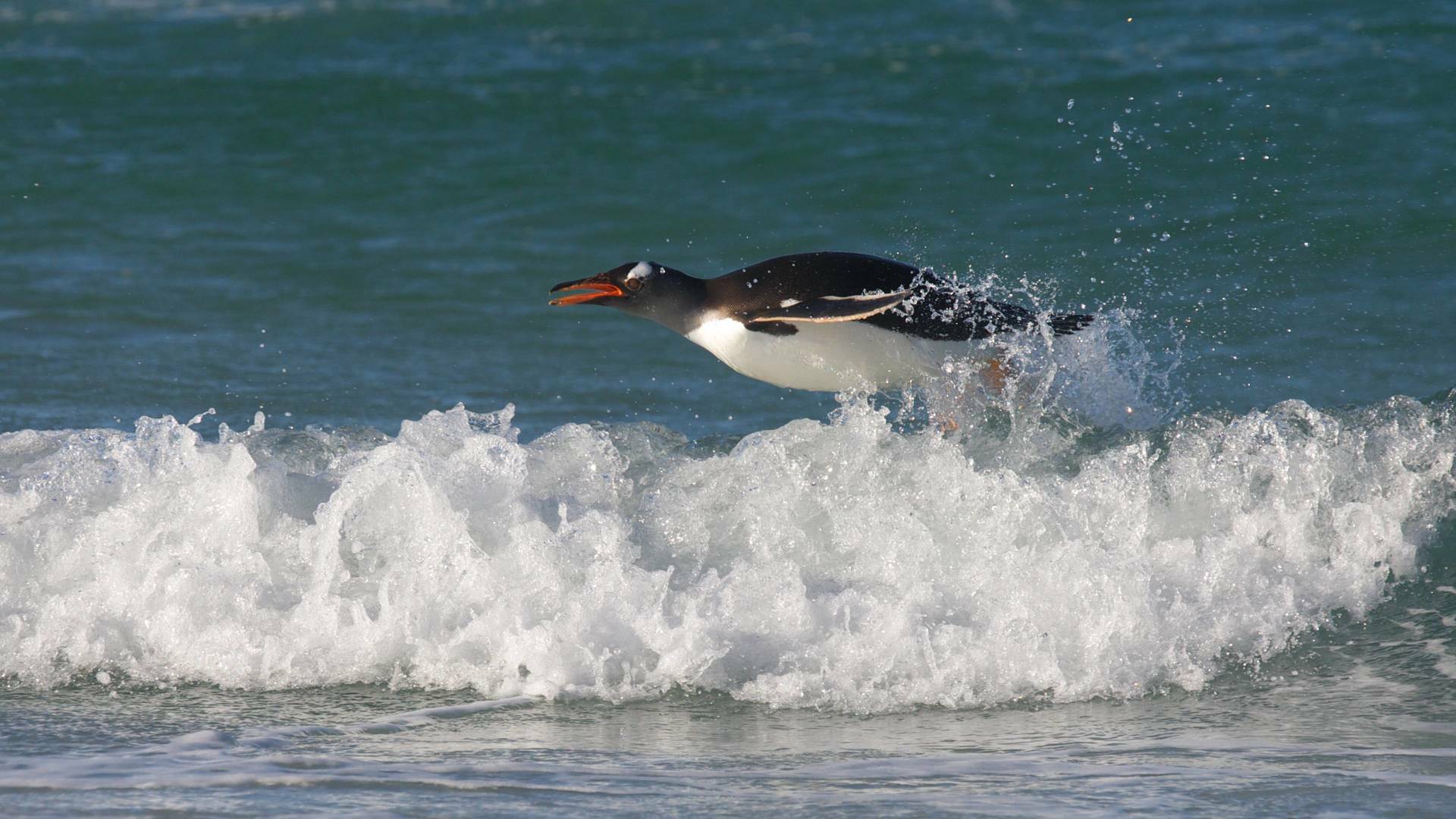 Recorriendo el mundo