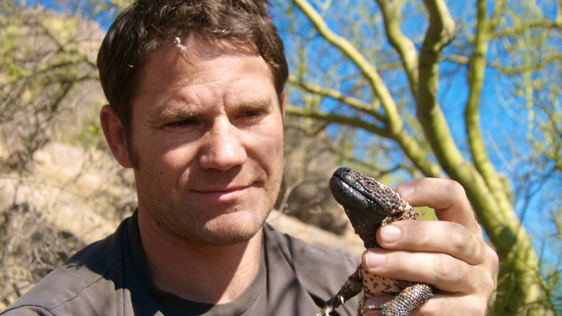 Fauna letal: Luisiana