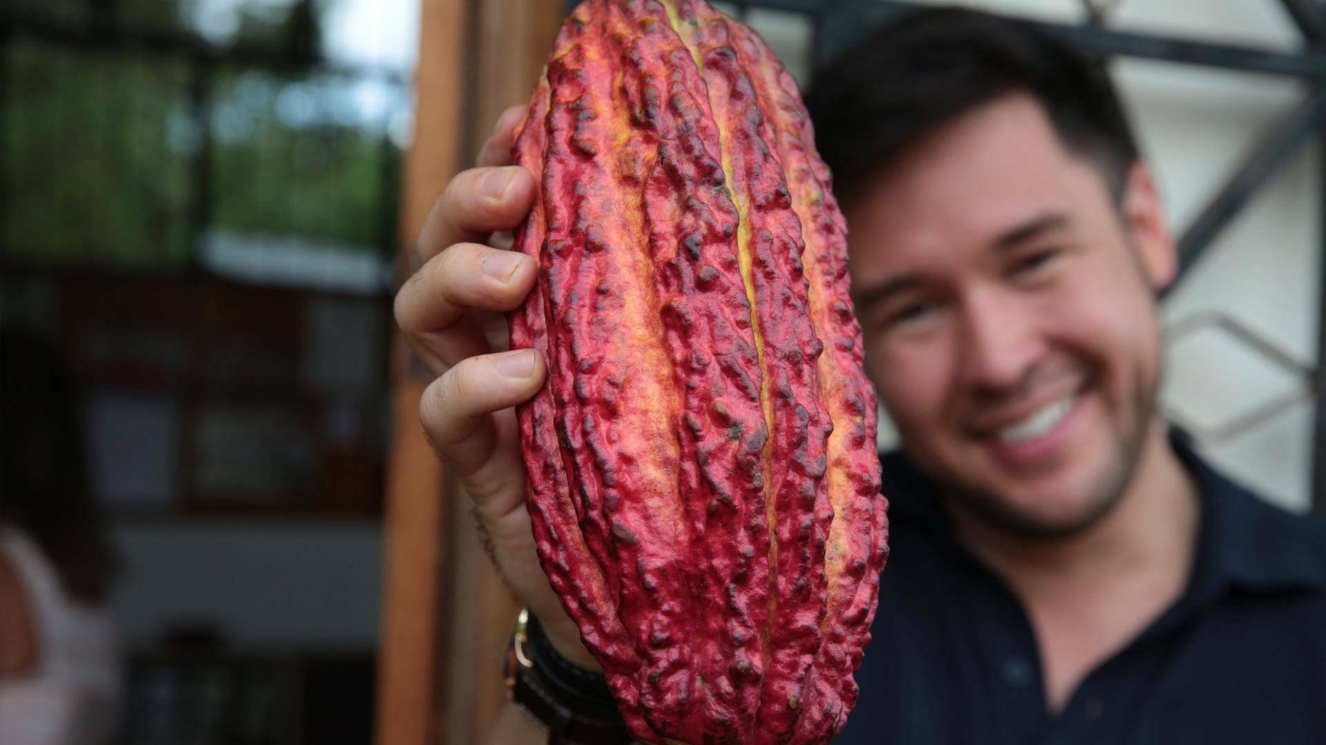 La ciencia de la comida: Cuestión de gustos