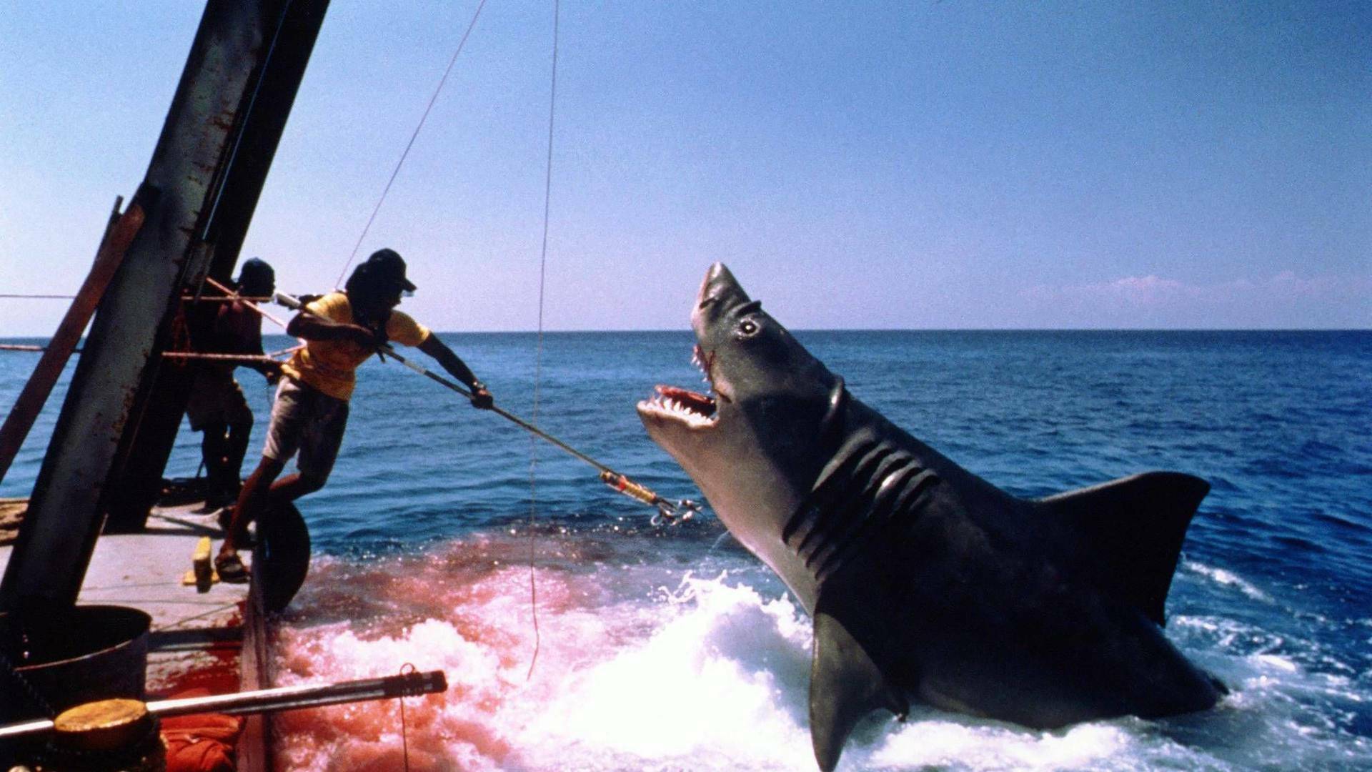 Tiburón, la venganza