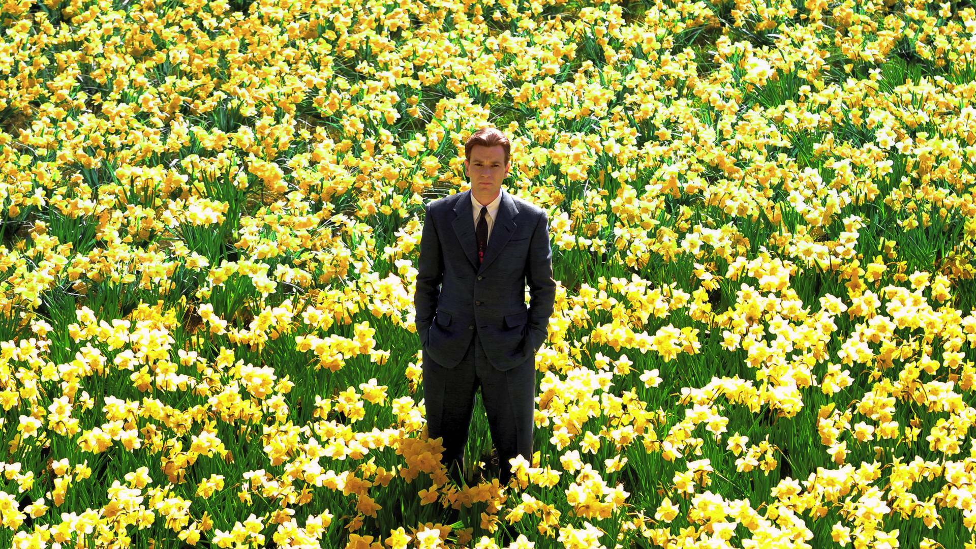 Big Fish