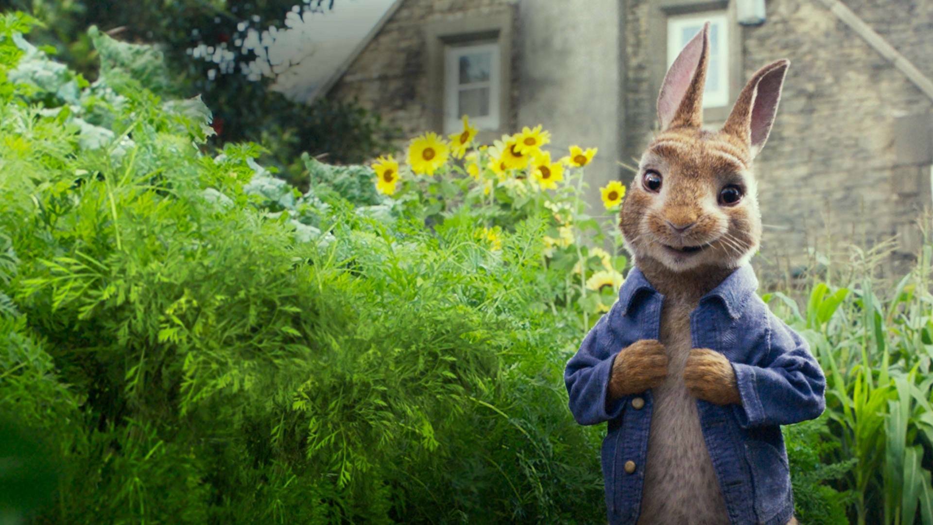 Peter Rabbit