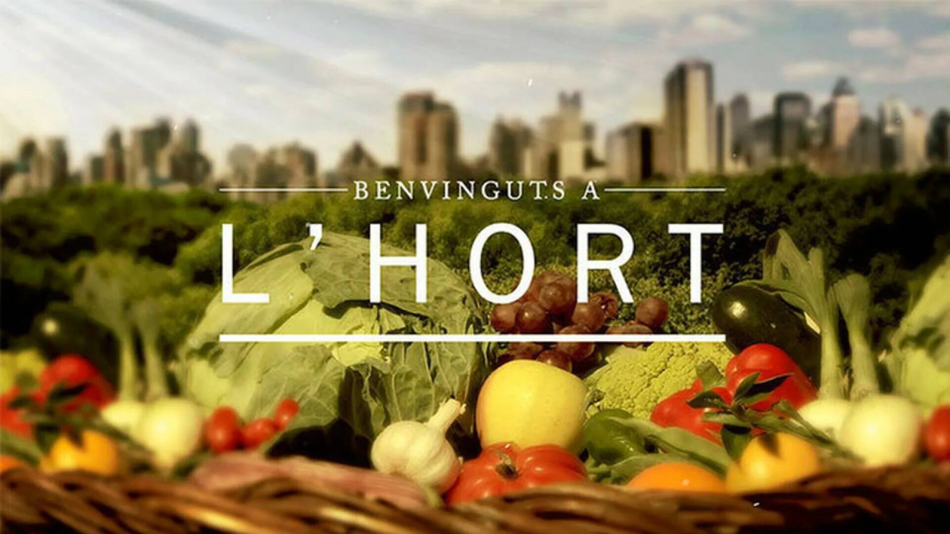 Benvinguts a l'hort (T1): Mongetes tendres i fesols