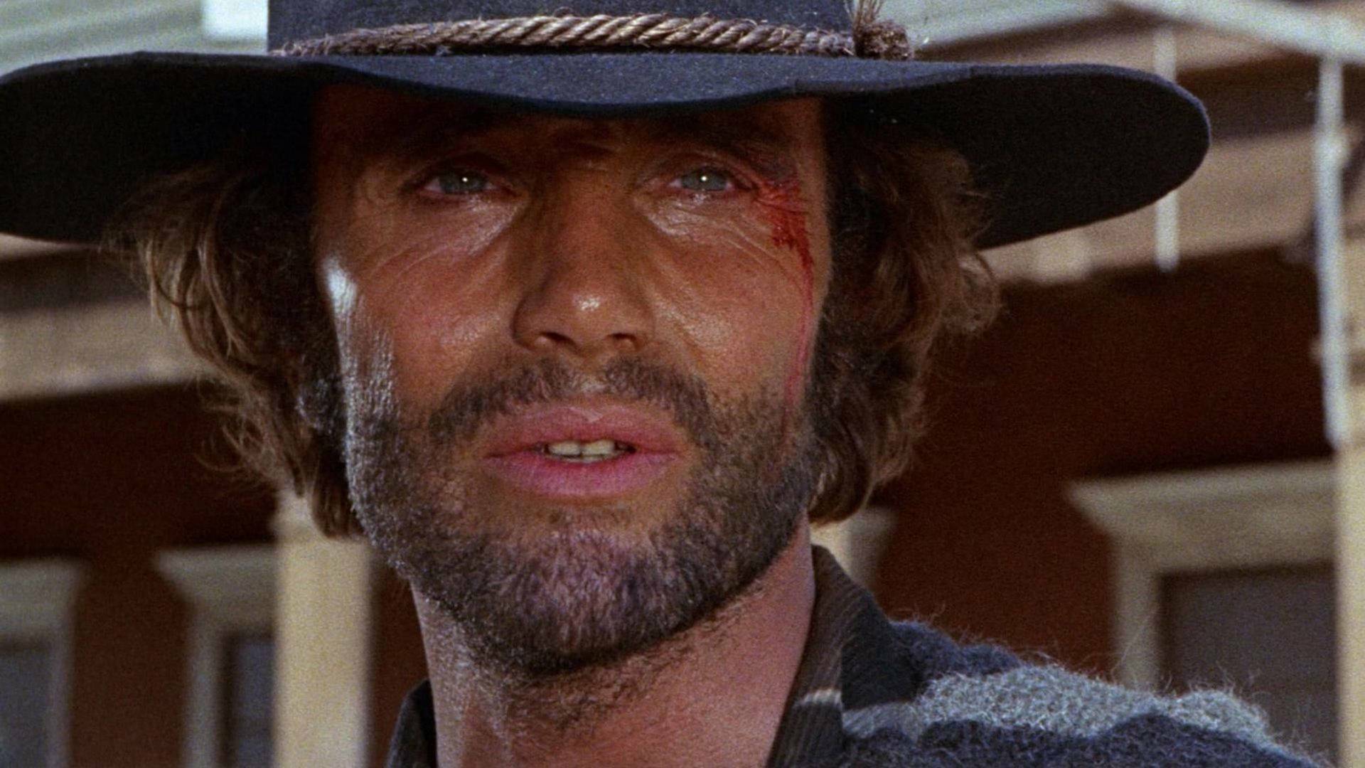 Django, el bastardo