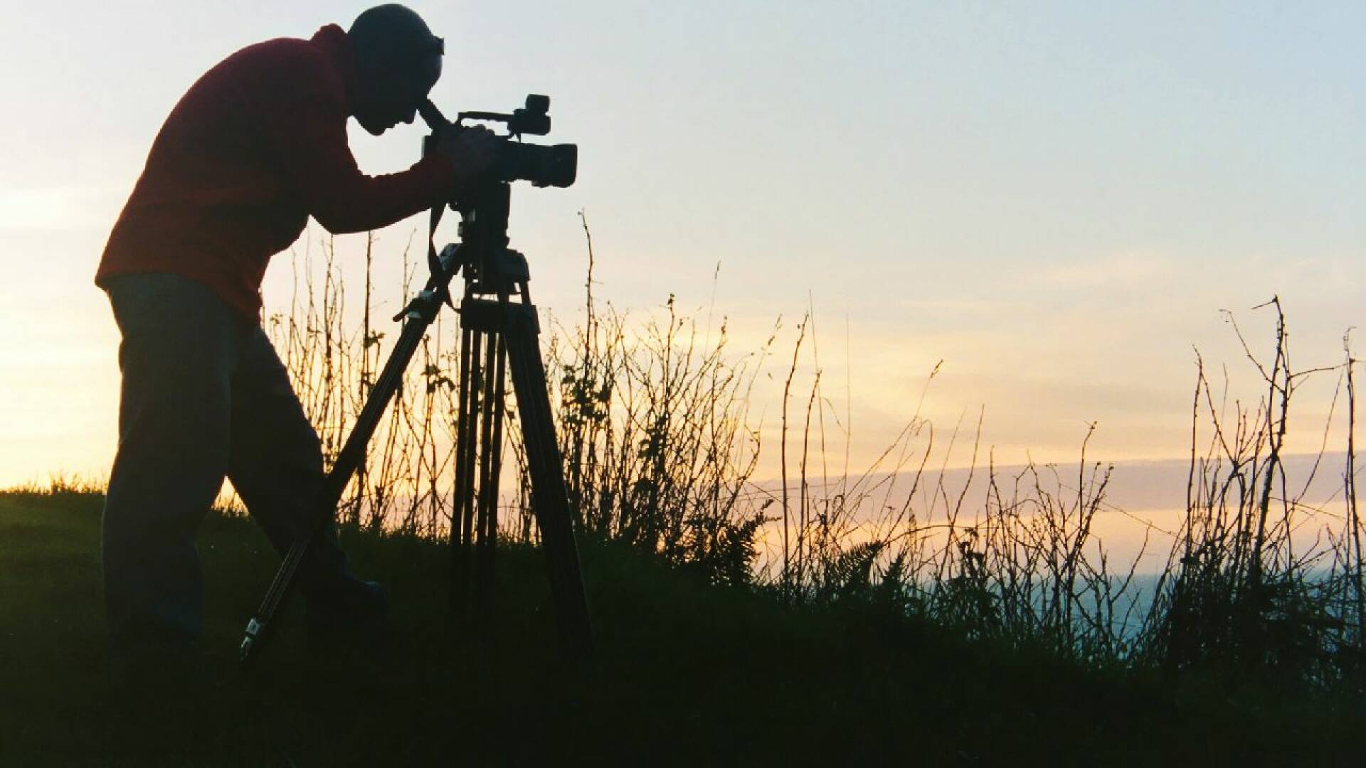 El proyector