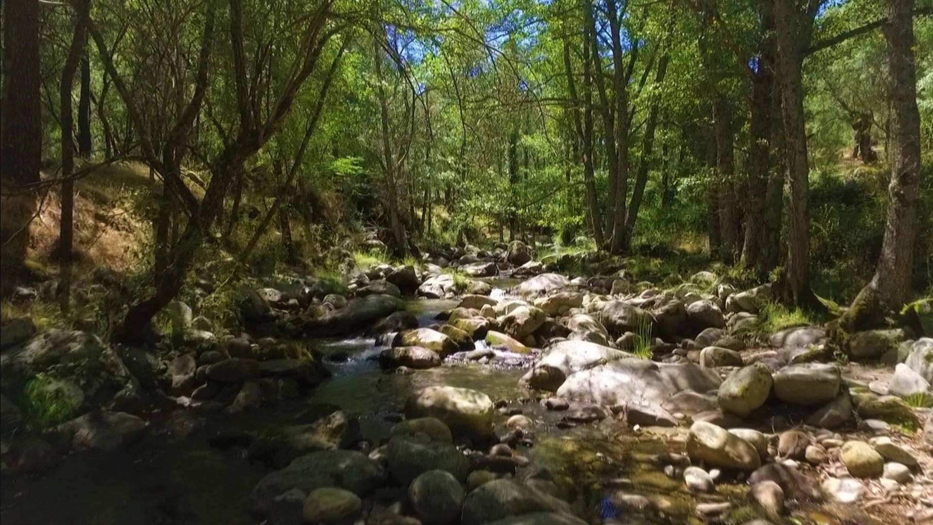 Parques naturales