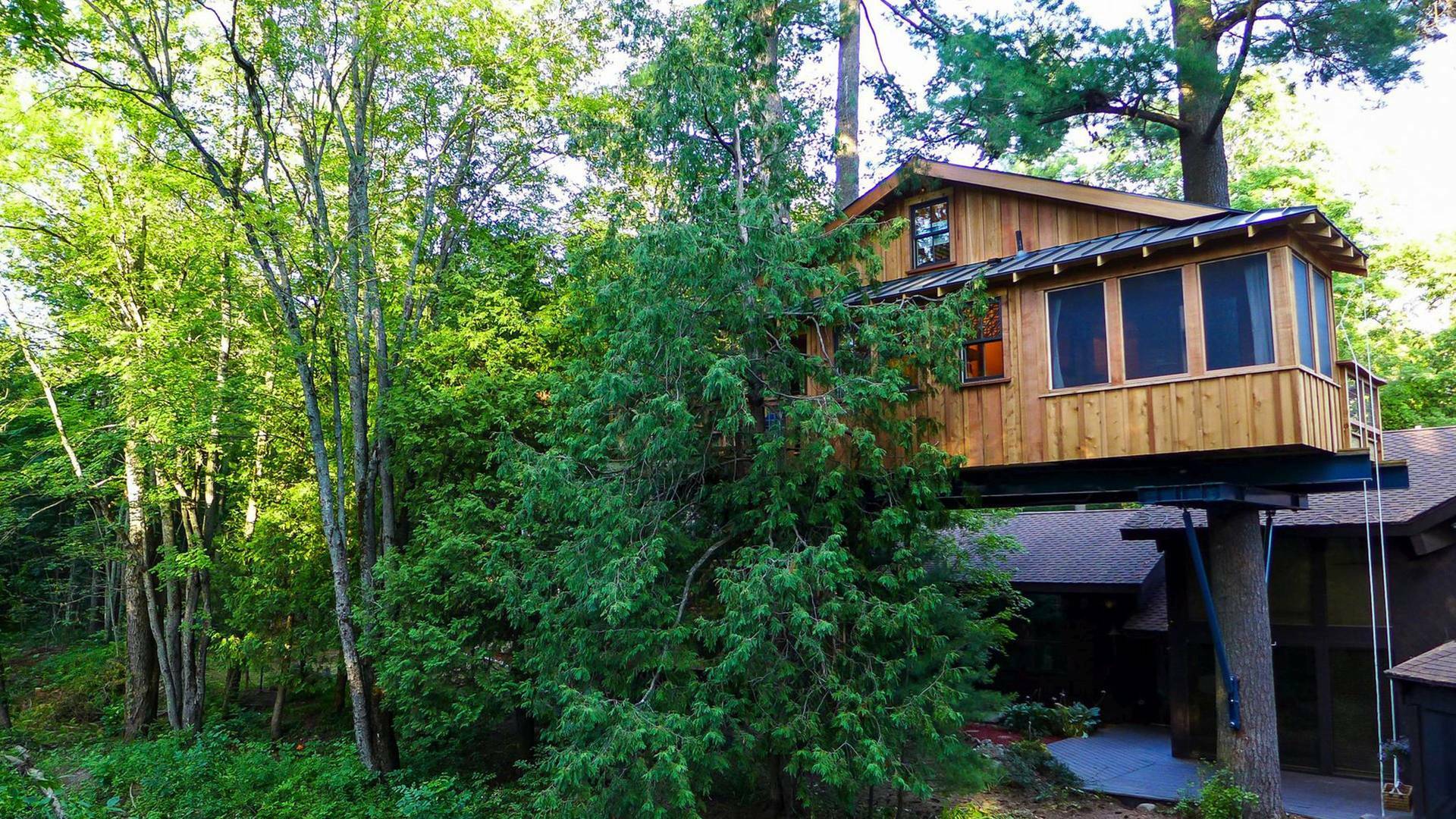 Mi casa en un árbol: Doble espectáculo arquitectónico