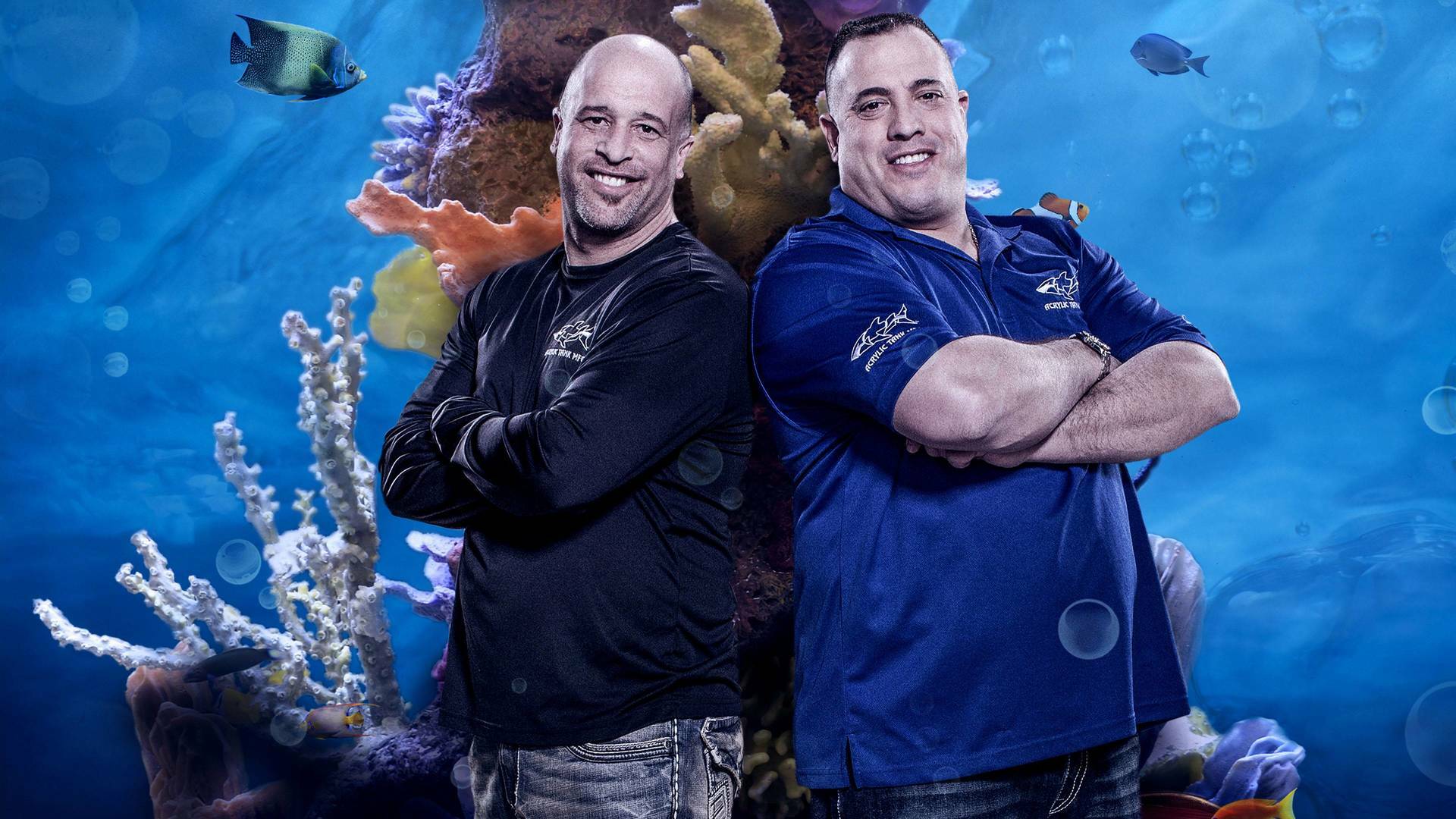 Acuarios XXL: Una cascada para el recuerdo