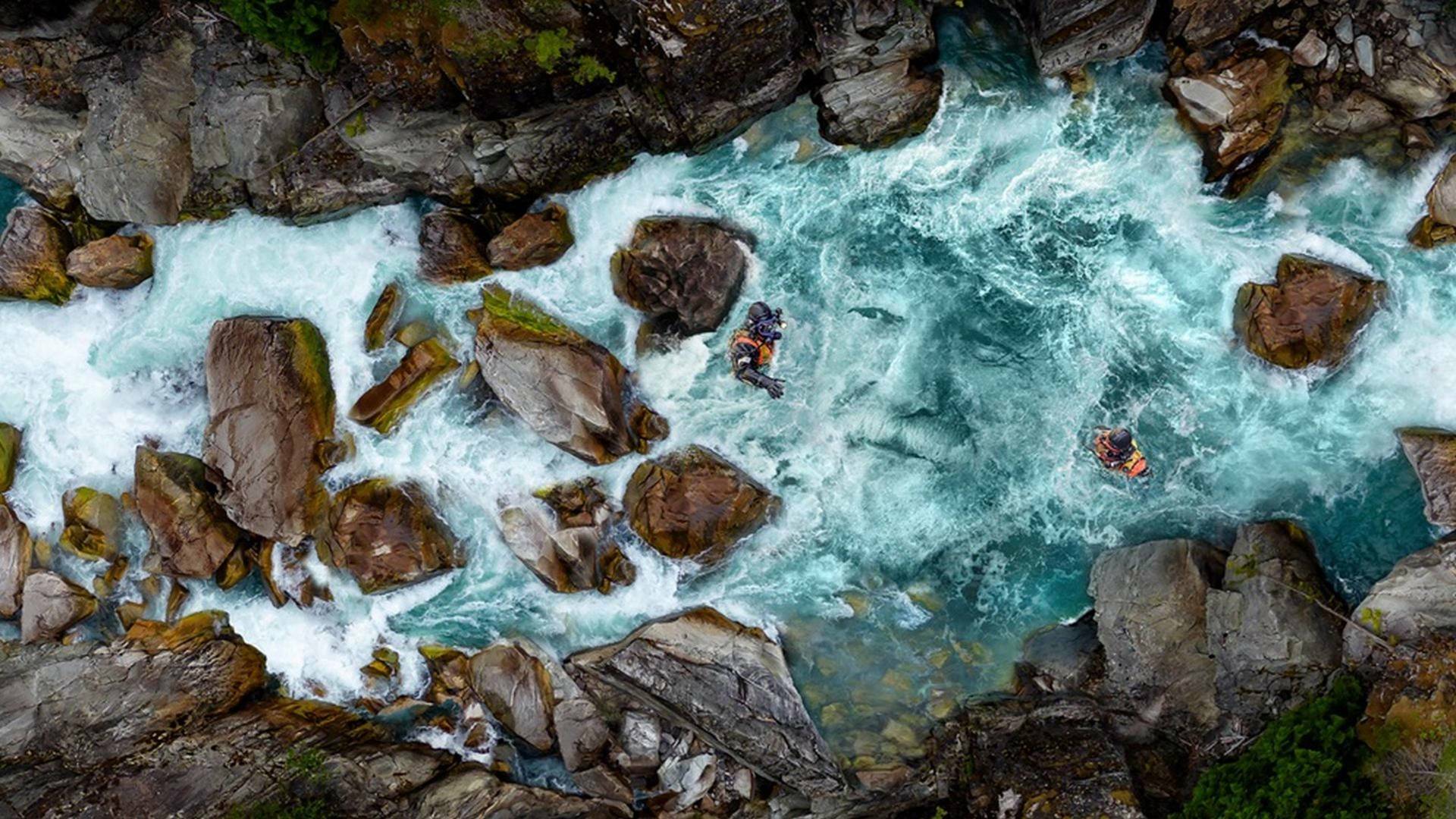 La fiebre del oro:...: La ballena blanca de Dustin