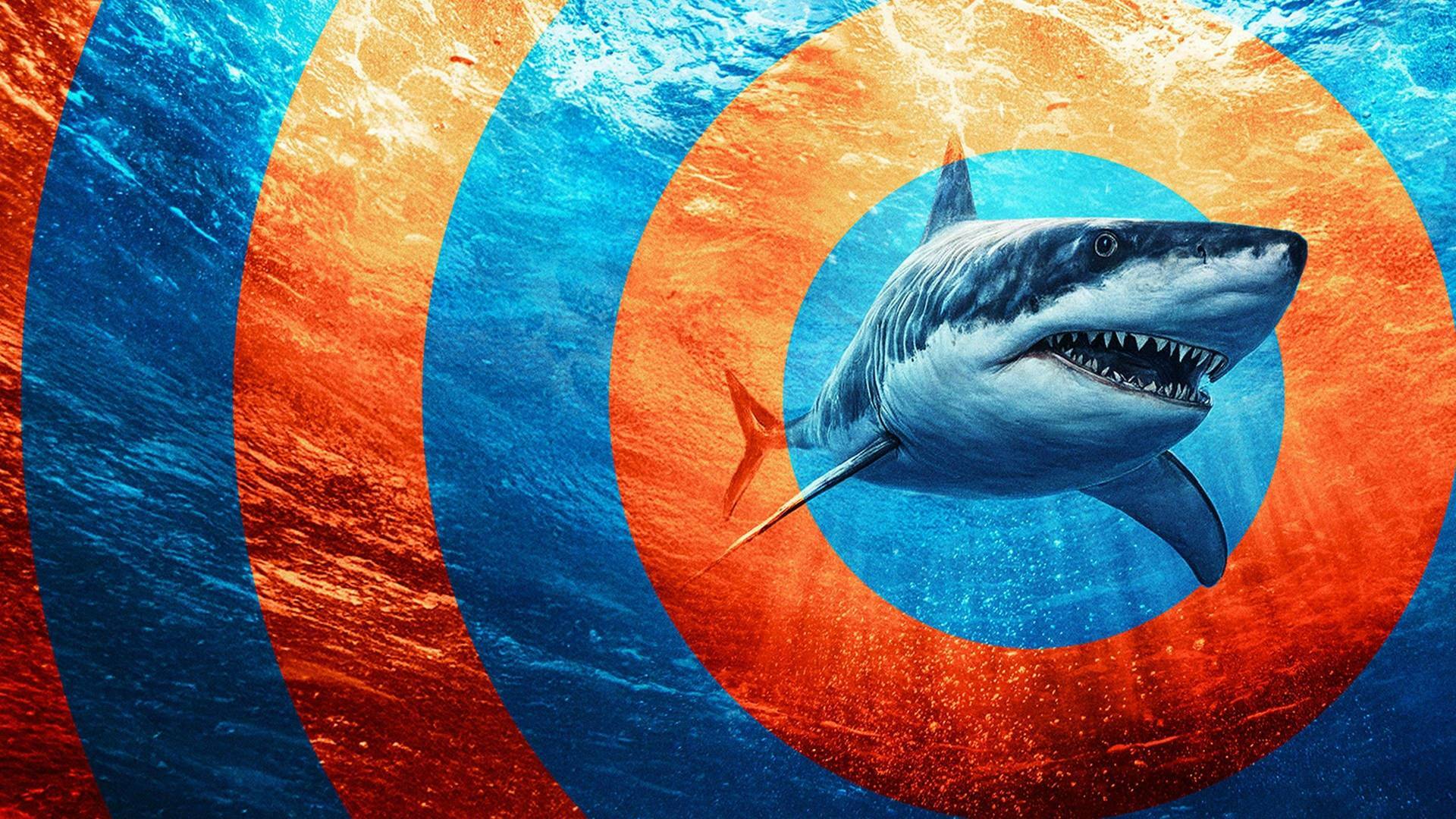 Plaga de tiburones (T2): Tiburón: en el ojo de la tormenta