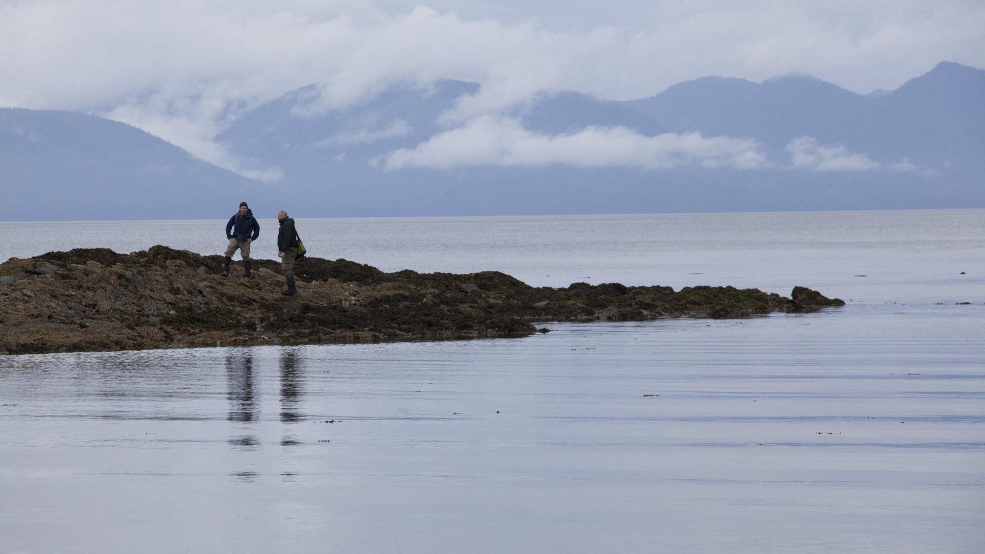 La isla del terror: La fortaleza de los osos