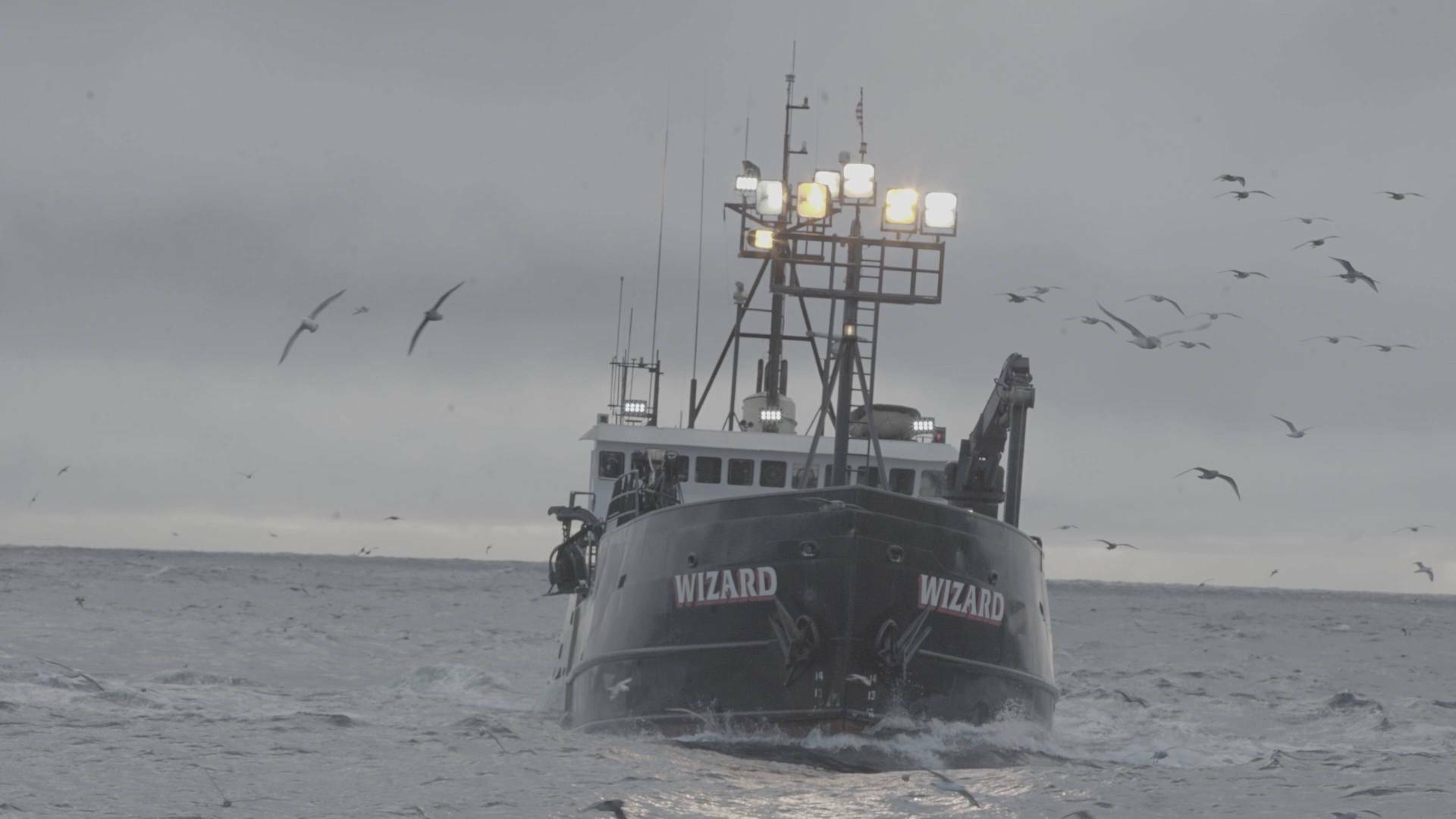 Pesca radical, Season 16: Tifón Hagibis