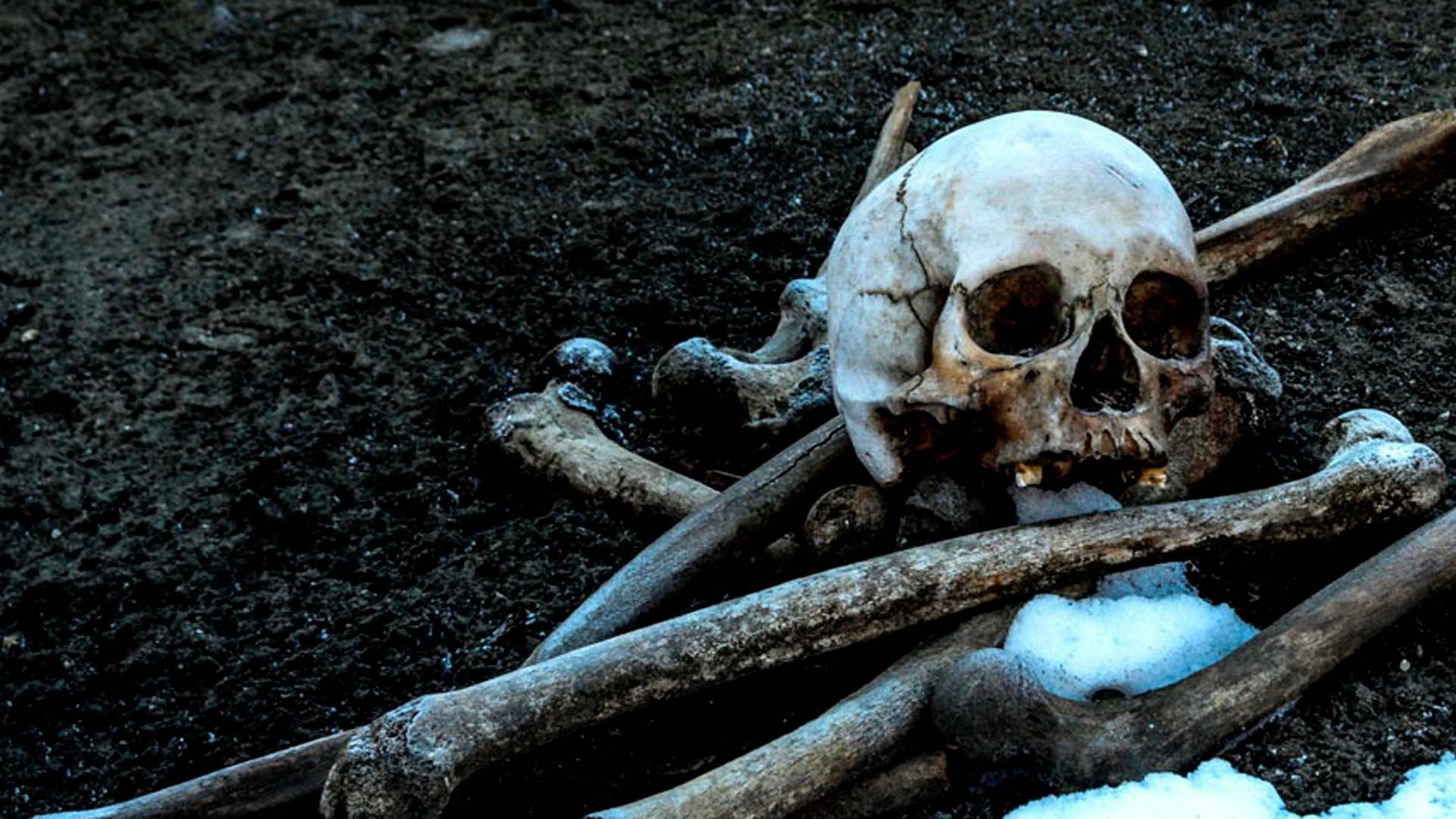 Arqueología en el...: Secretos del abismo antártico