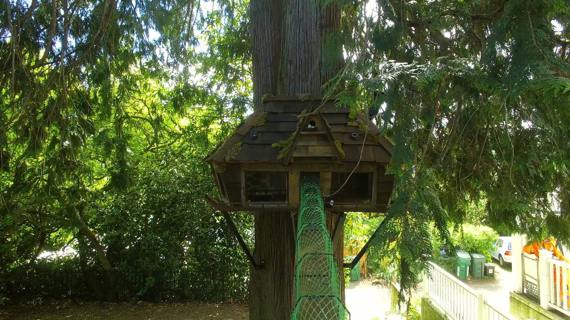 Supercasas para... (T1): Un jardín de ensueño