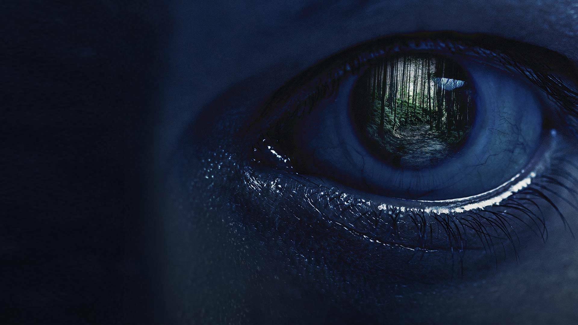 Este bosque está...: ¿Intentaba matarme?