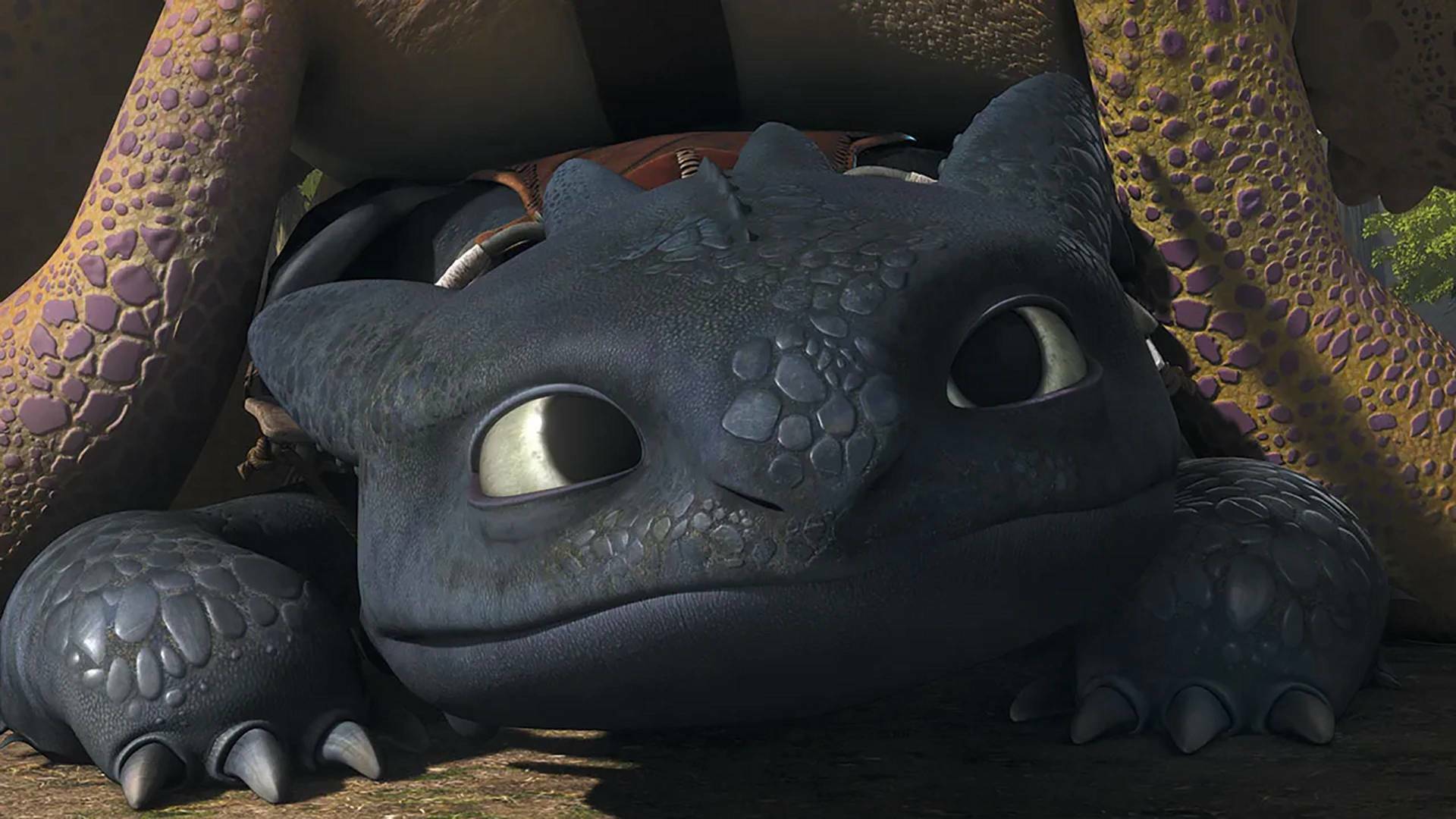 Dragones: Los jinetes de Mema