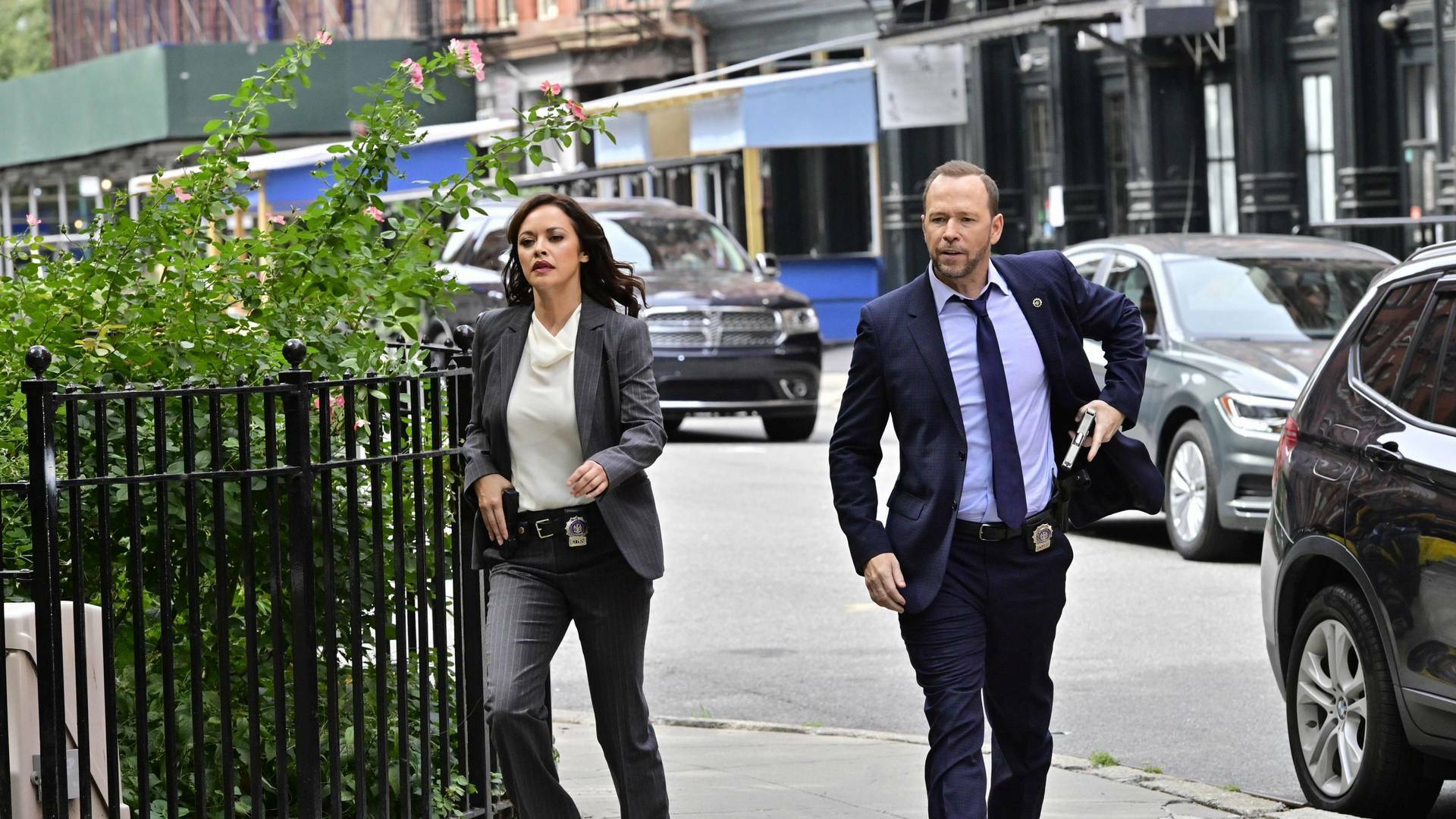 Blue Bloods (T12): Ep.14 Alianza