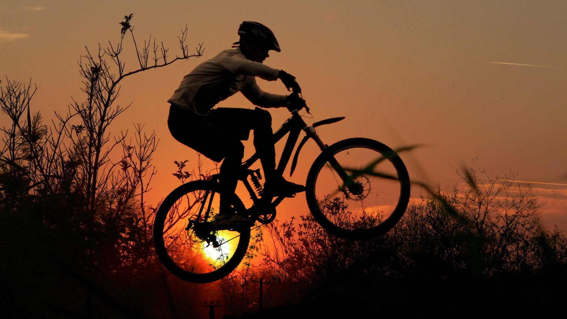 UCI MTB WC - Leogang (2025): Campo a través olímpico F