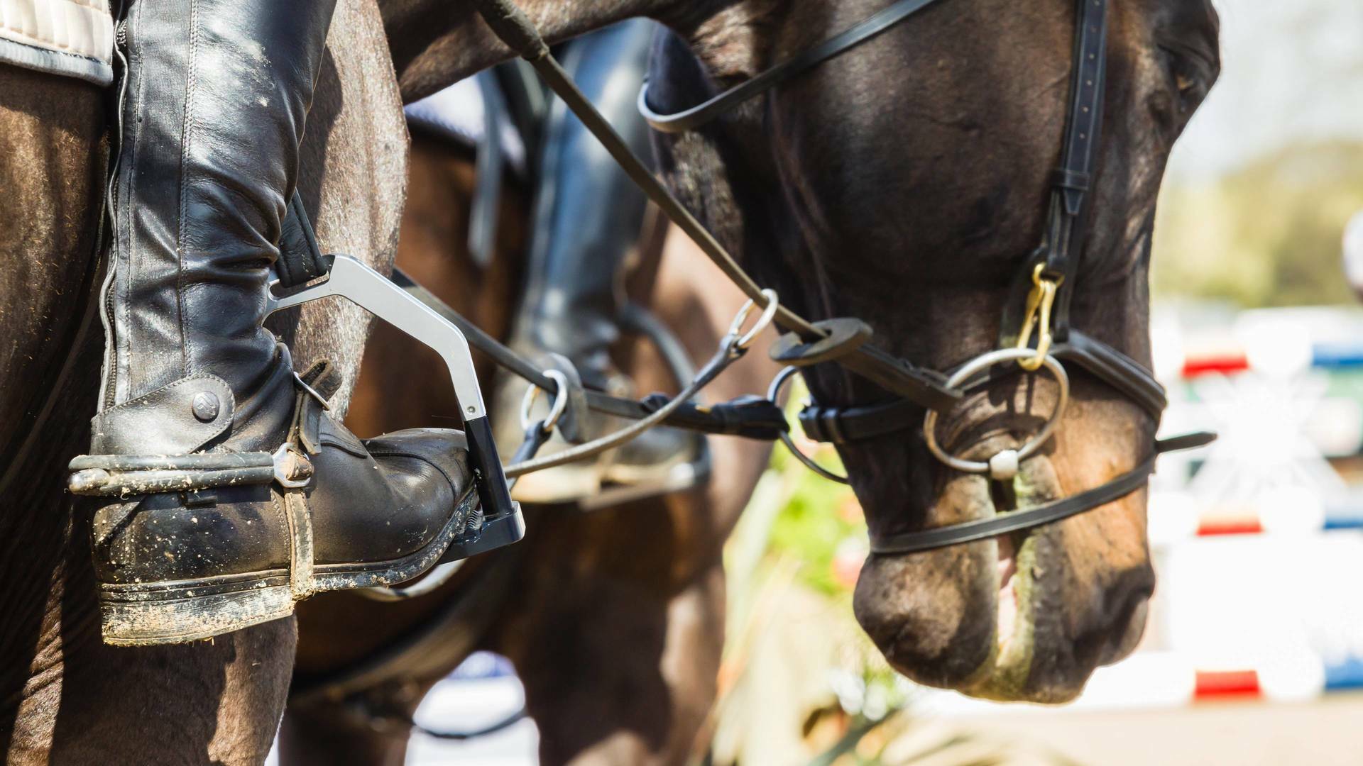 Hípica: Global... (2025): Praga - Final