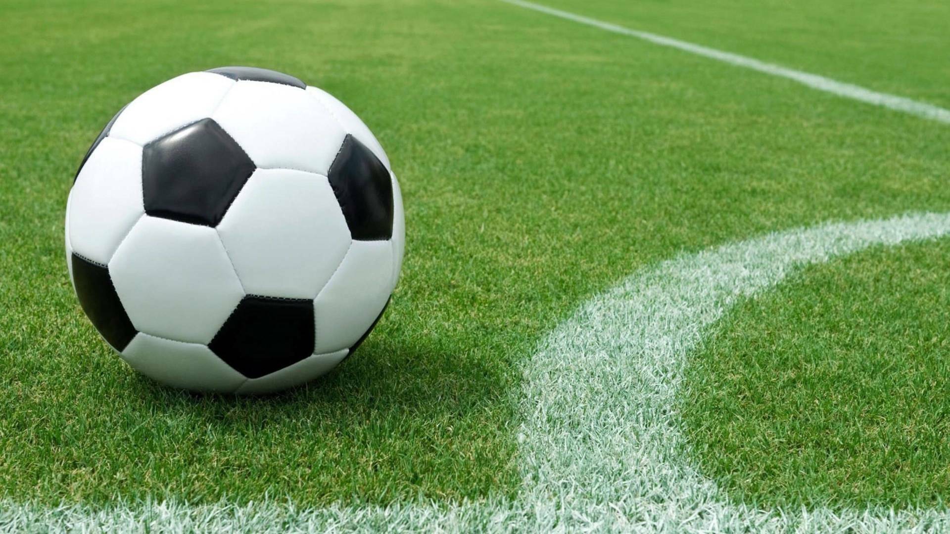 Futbol