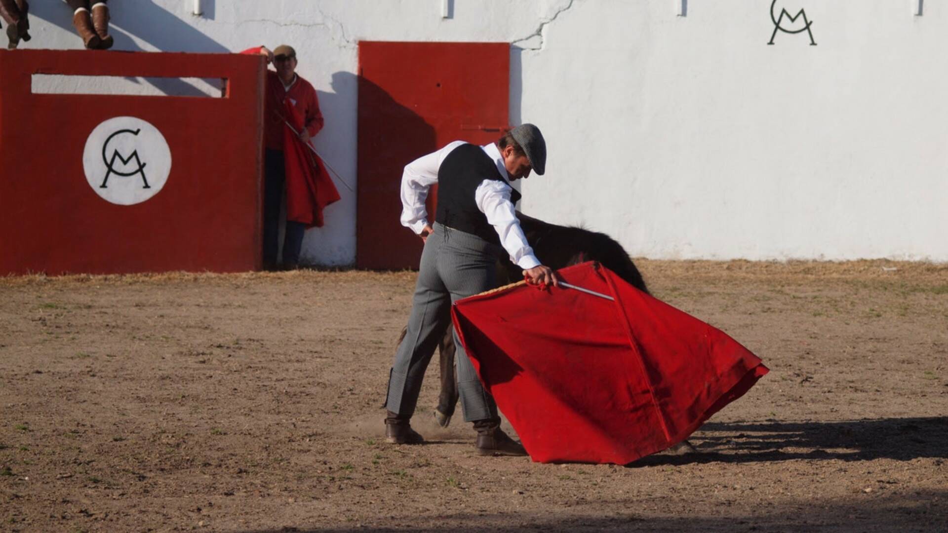 Tierra de toros