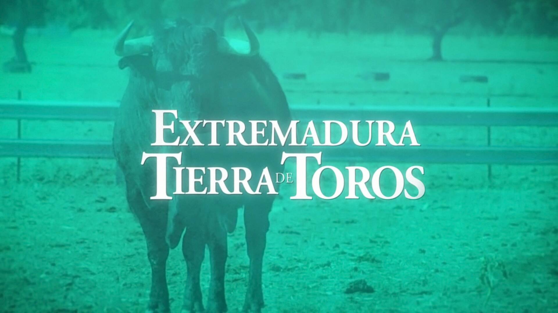 Tierra de toros