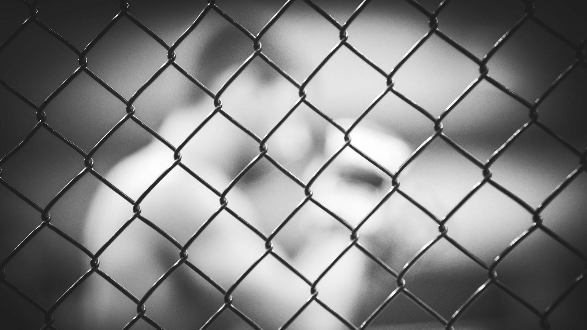 UFC 217: Bisping... (2017): Joanna Jedrzejczyk vs Rose Namajunas