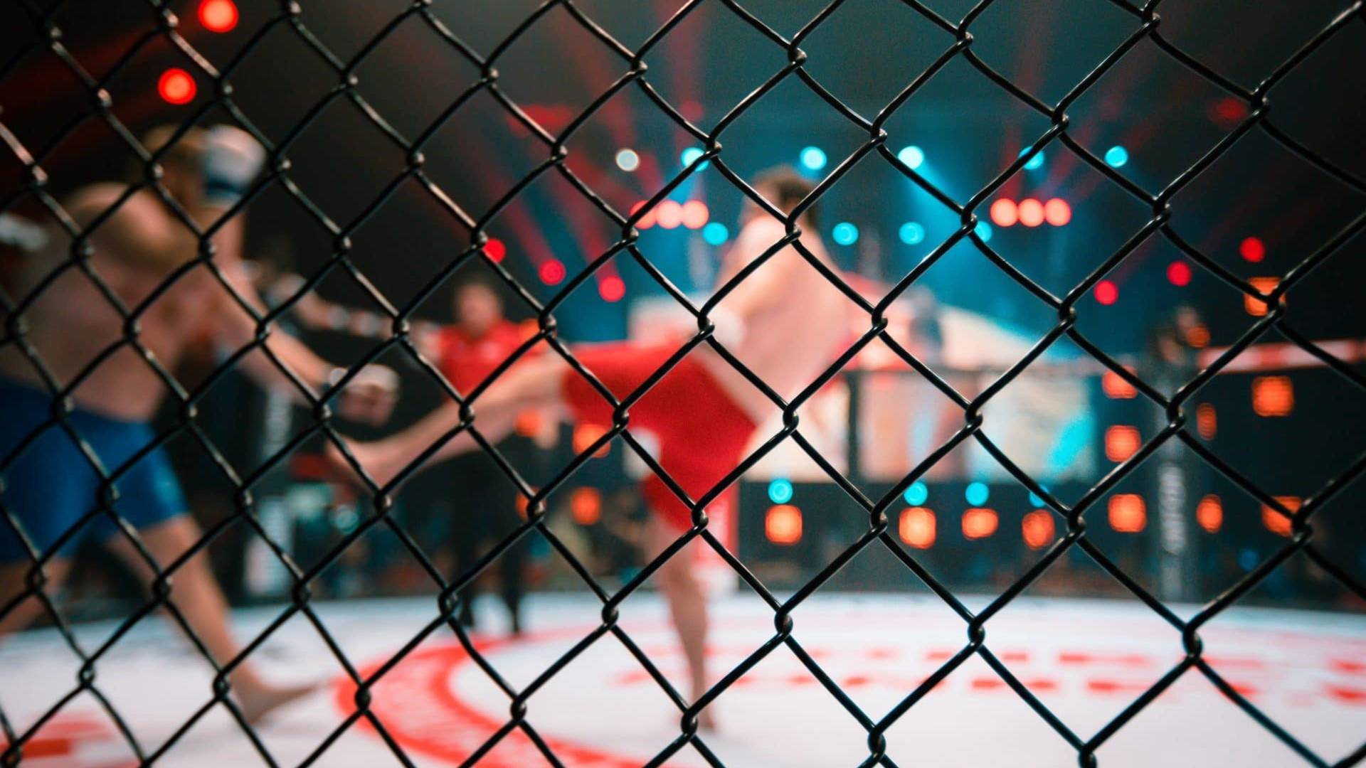 UFC Fight Night: Poirier vs Hooker (2020)