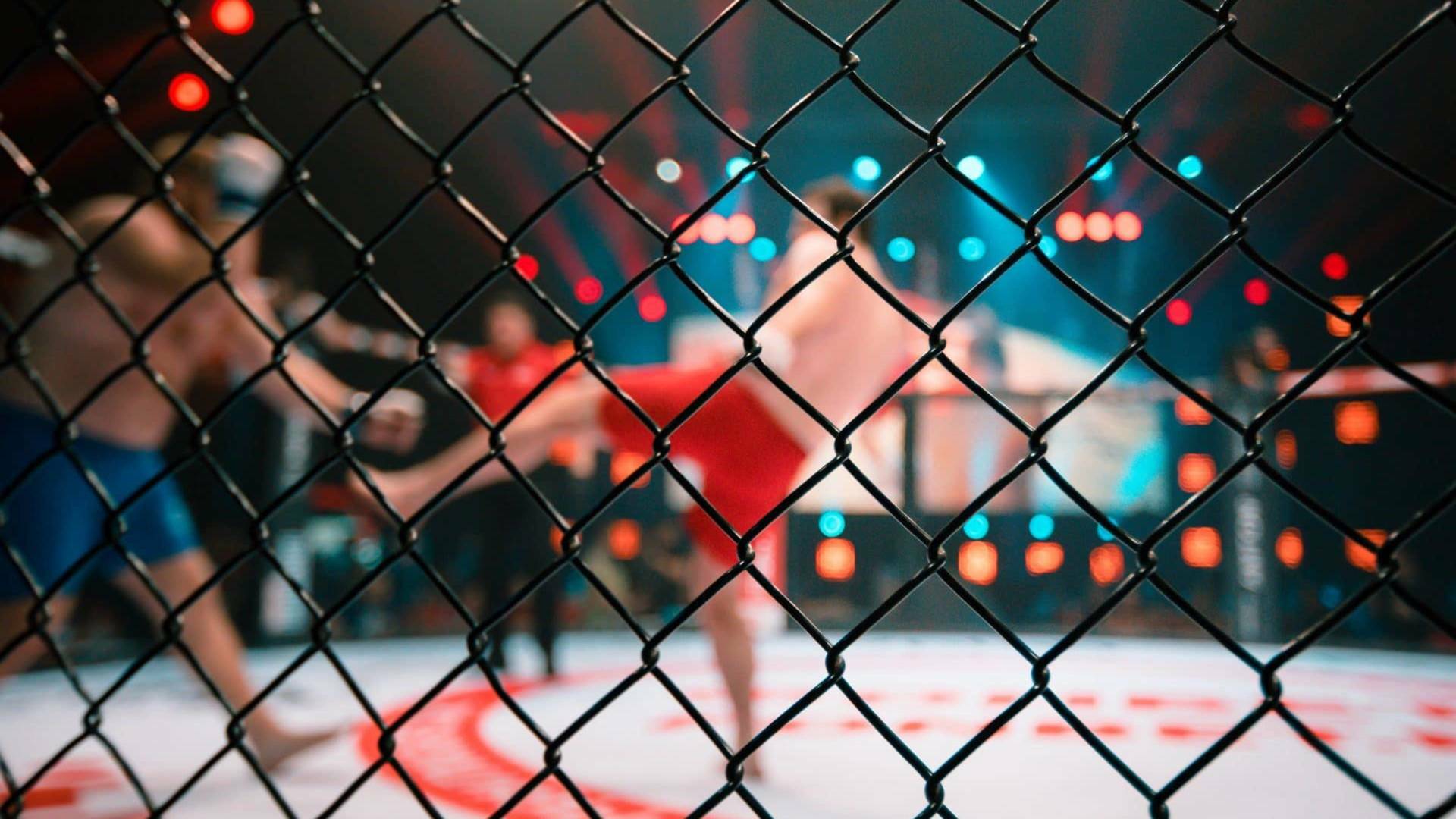 UFC Fight Night:... (2020): Dustin Poirier vs Dan Hooker