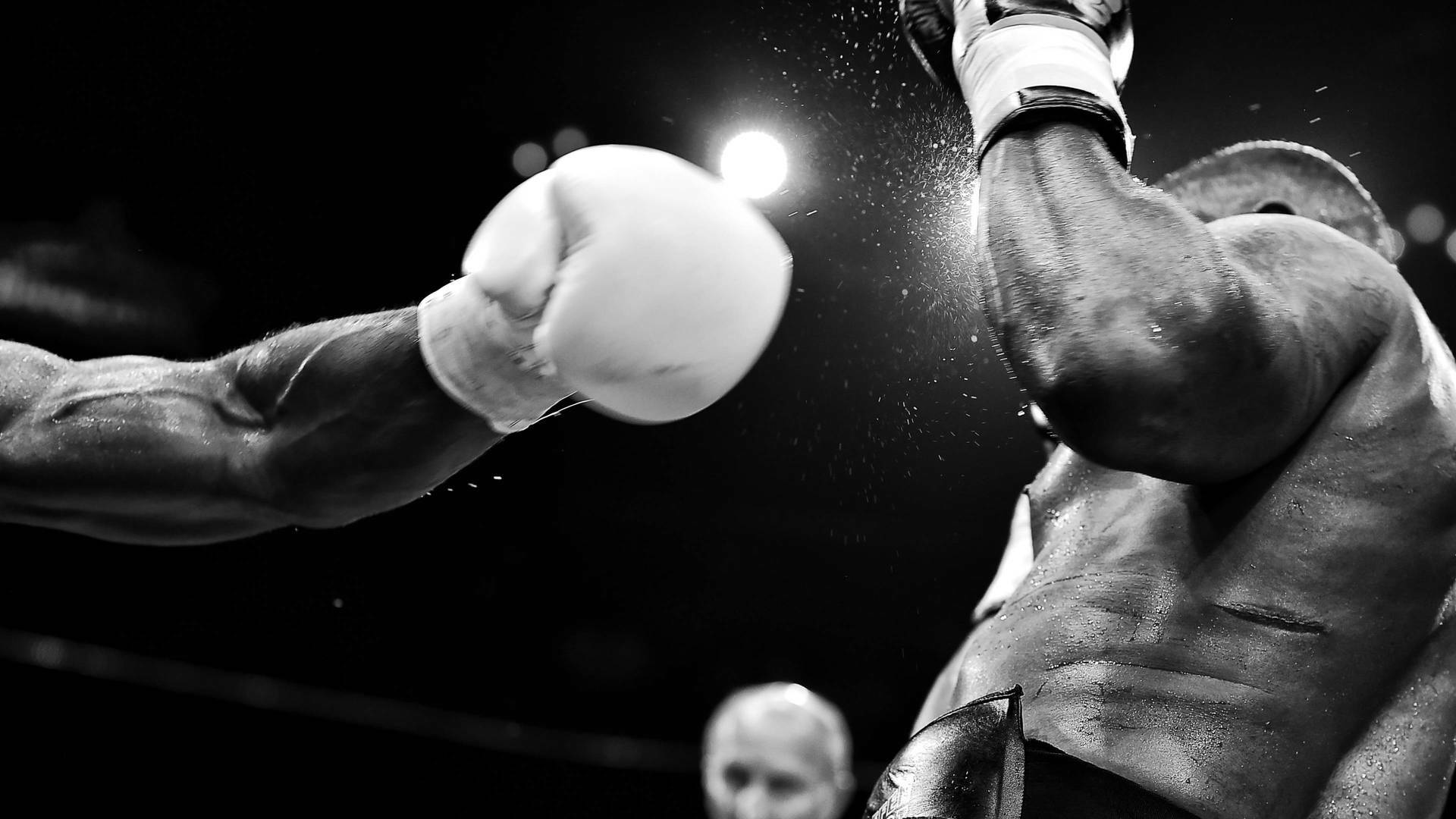 Boxeo: velada... (2016): John Riel Casimero vs Charlie Edwards