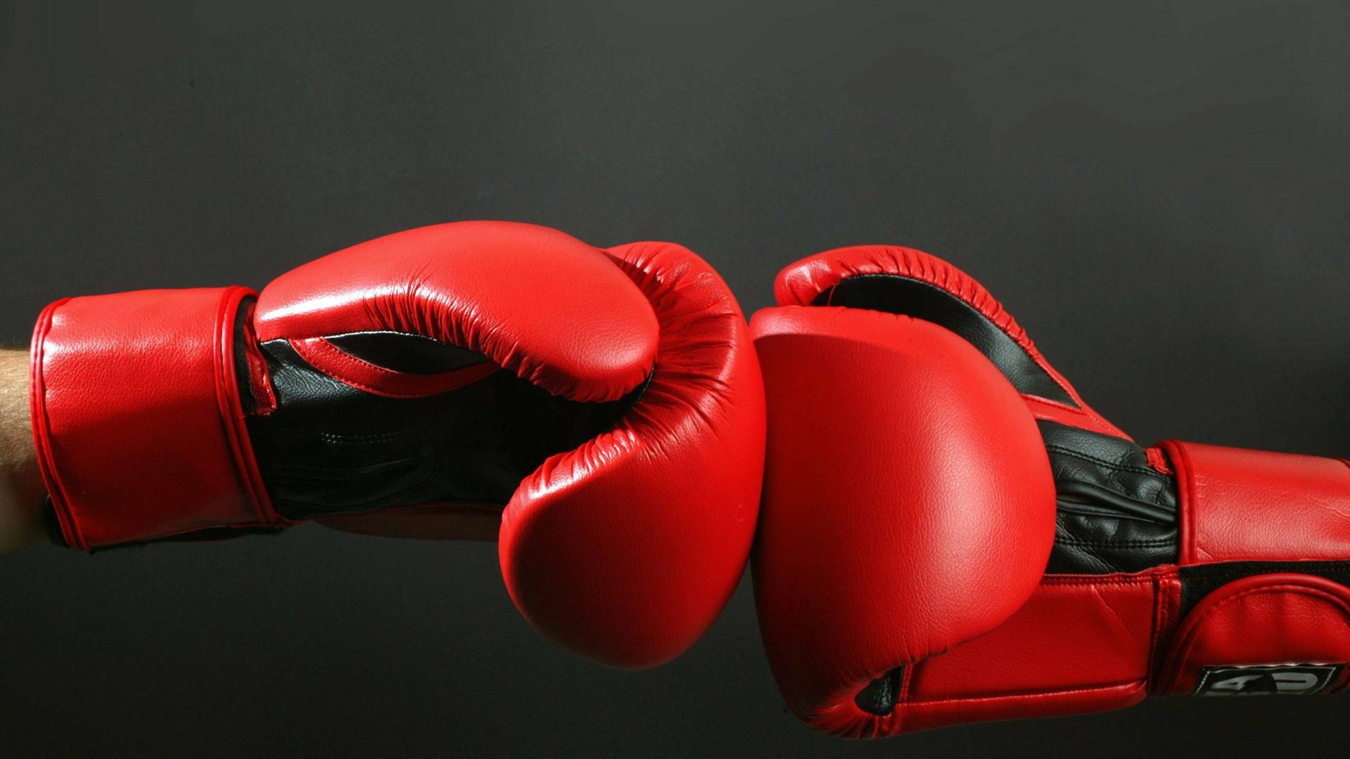 Boxeo: velada... (2019): Irakli Kurabediani vs Kelly Figueroa